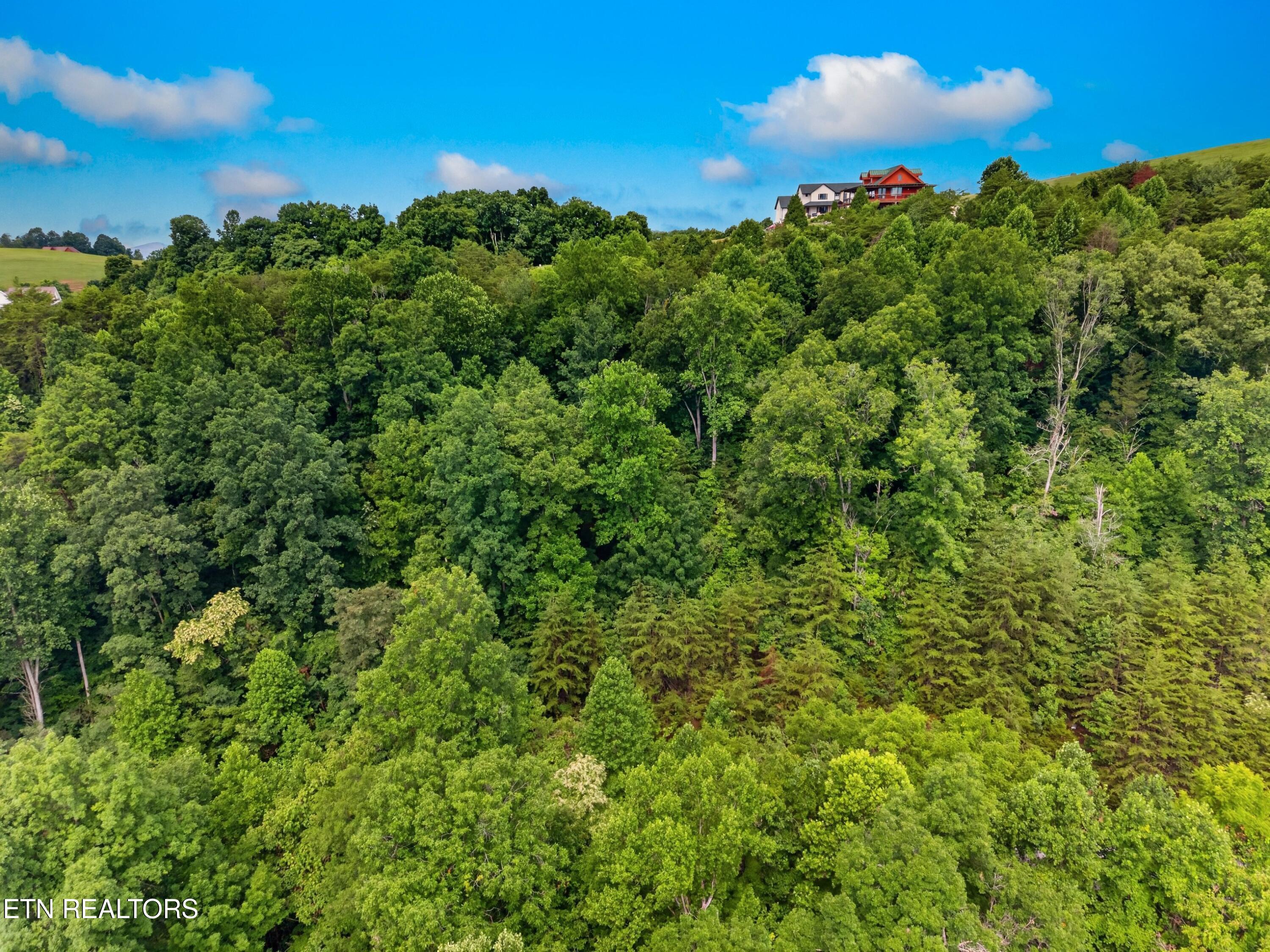 Silver Tr, New Tazewell, TN - Norris Lake Real Estate - Image# 7