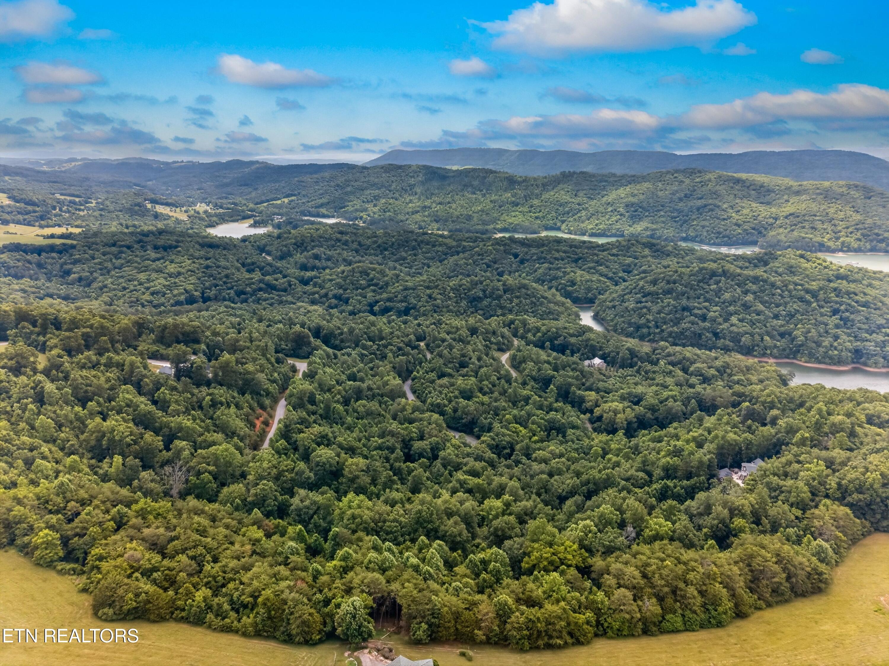 Silver Tr, New Tazewell, TN - Norris Lake Real Estate - Image# 8