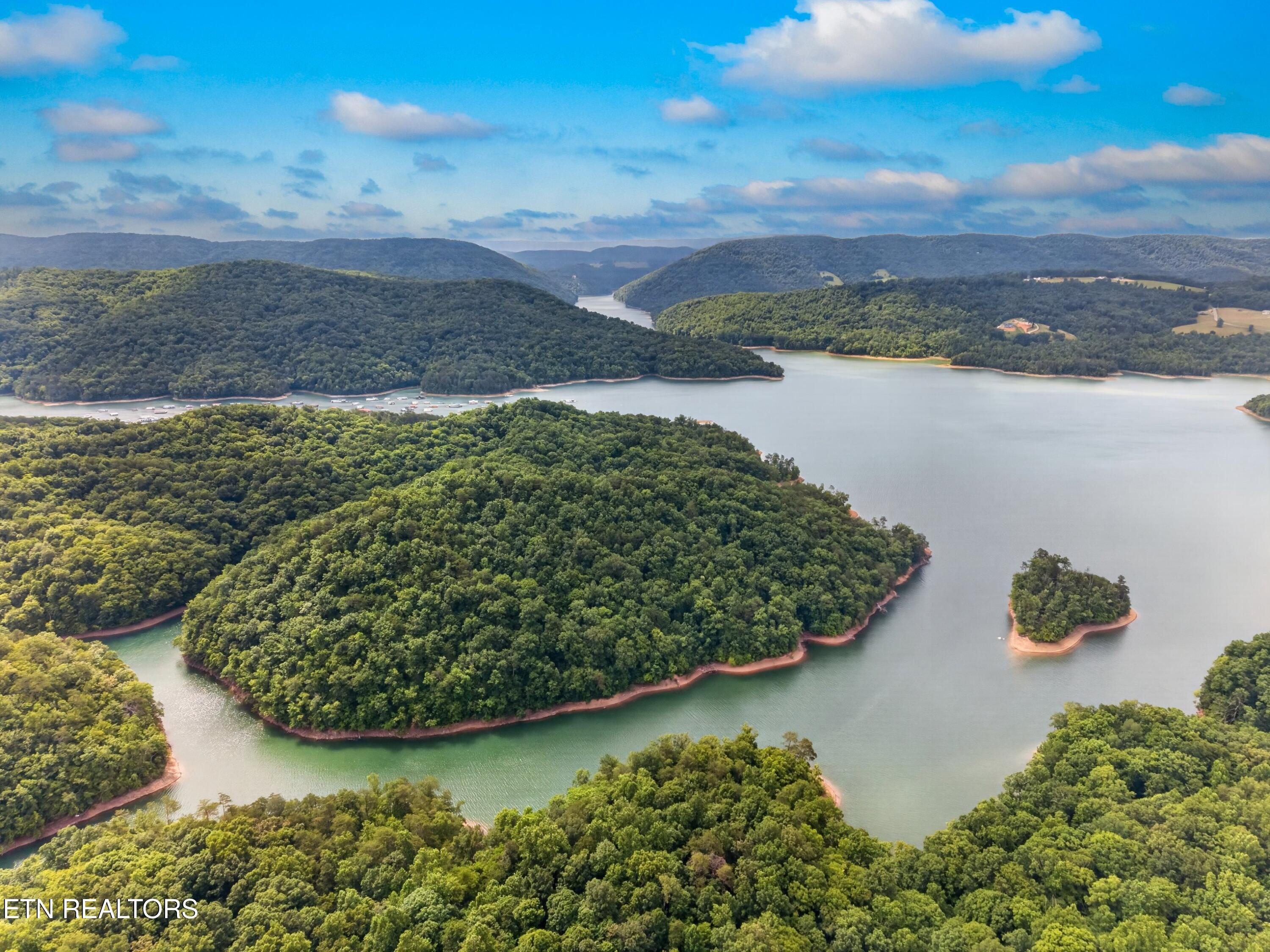 Silver Tr, New Tazewell, TN - Norris Lake Real Estate - Image# 9