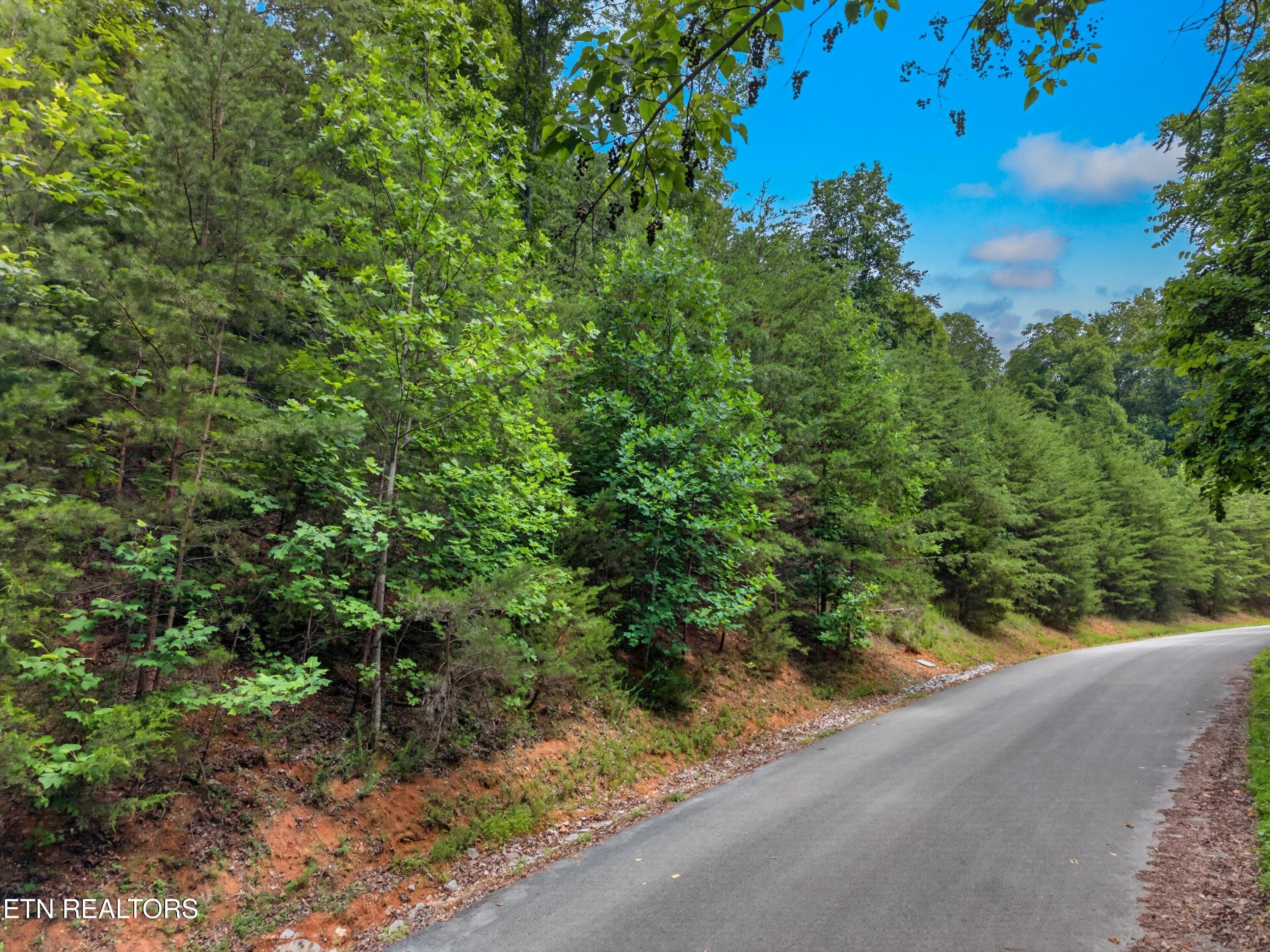 Silver Tr, New Tazewell, TN - Norris Lake Real Estate - Image# 10