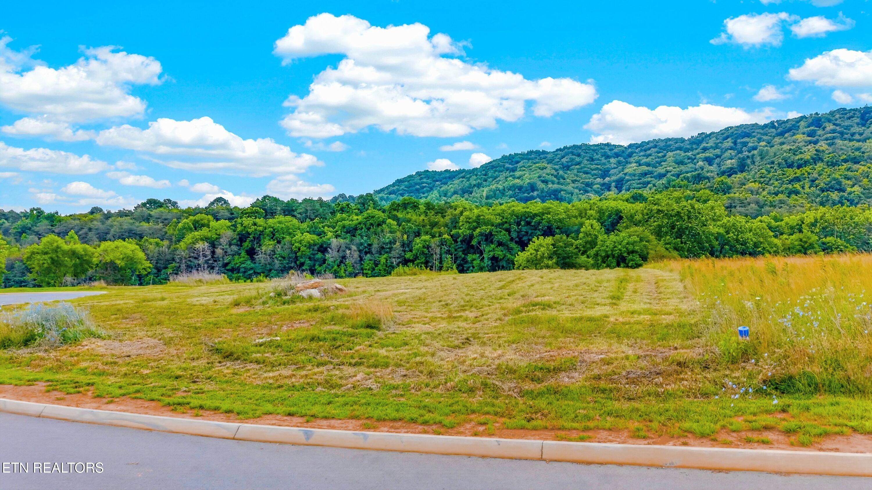 Lots 20 & 21 Waterfront Knoll, Sharps Chapel, TN - Norris Lake Real Estate - Image# 17