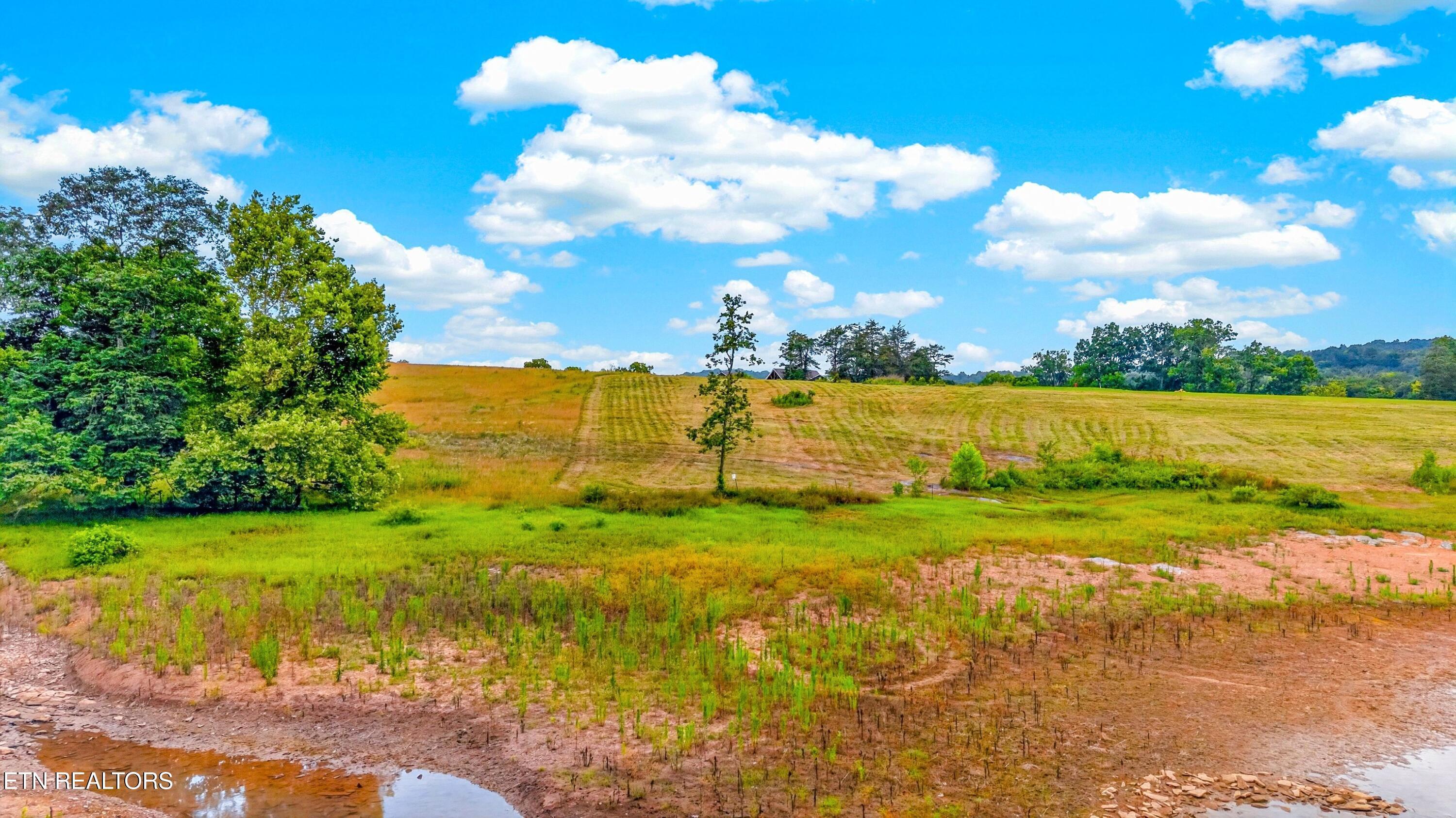 Lots 20 & 21 Waterfront Knoll, Sharps Chapel, TN - Norris Lake Real Estate - Image# 18