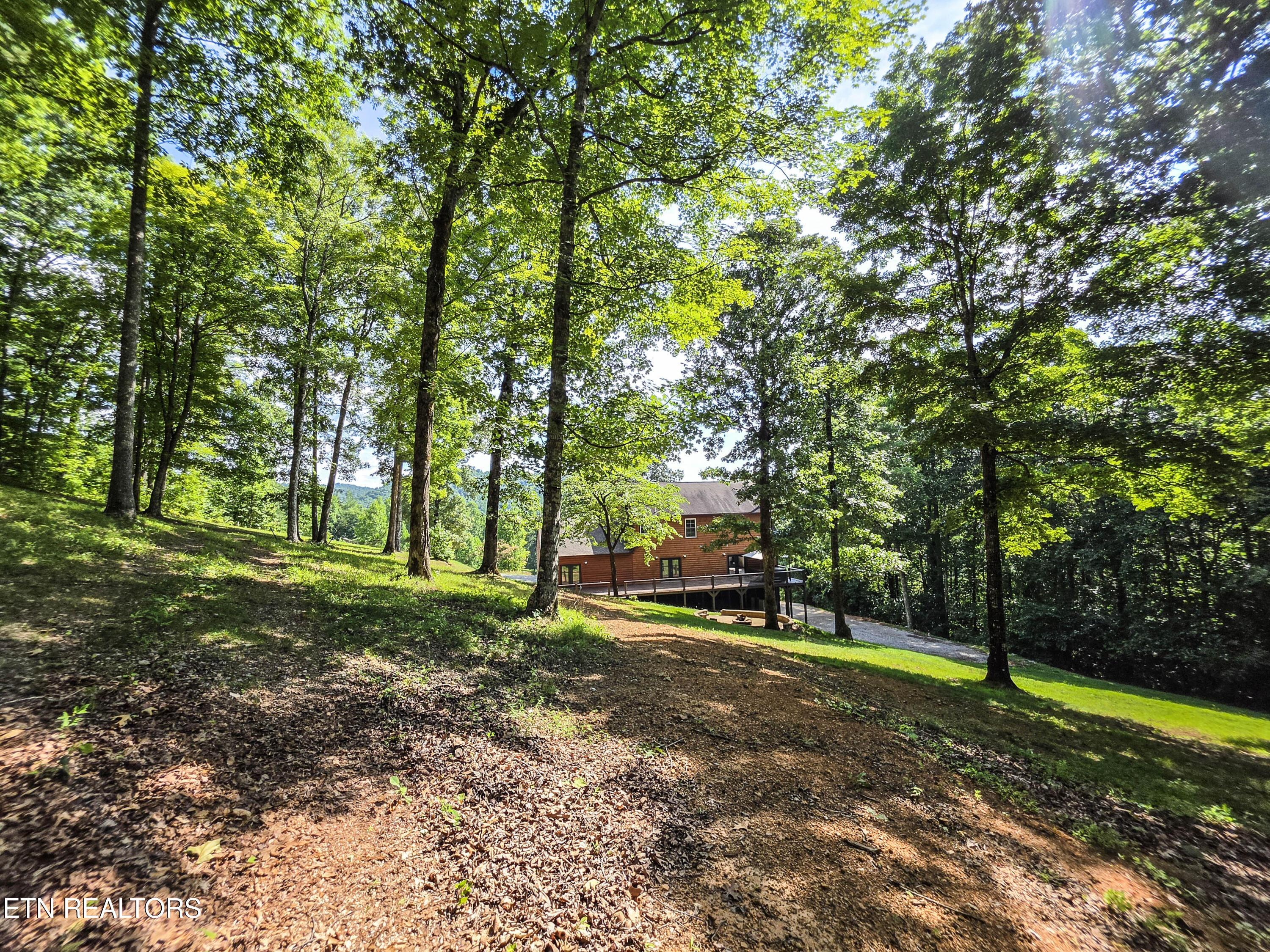 Norris Lake Real Estate - Image# 41