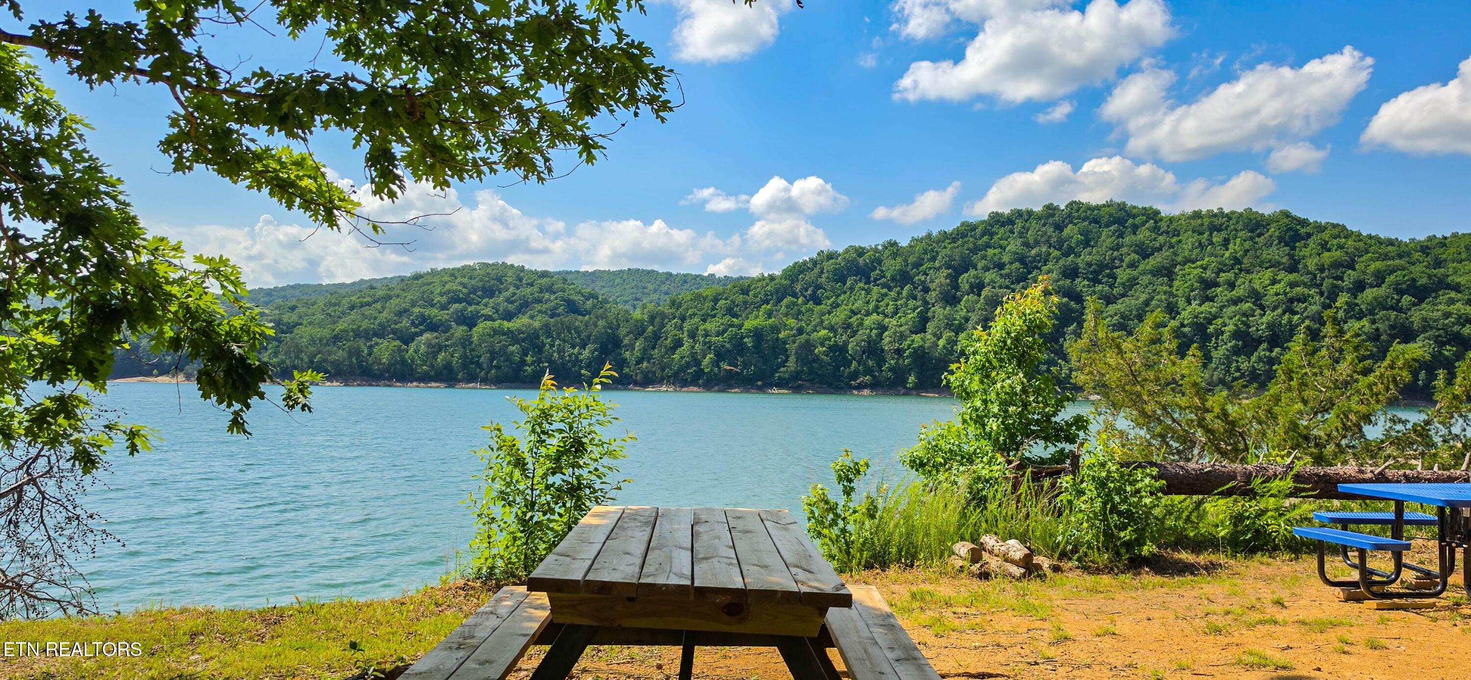 Norris Lake Real Estate - Image# 47