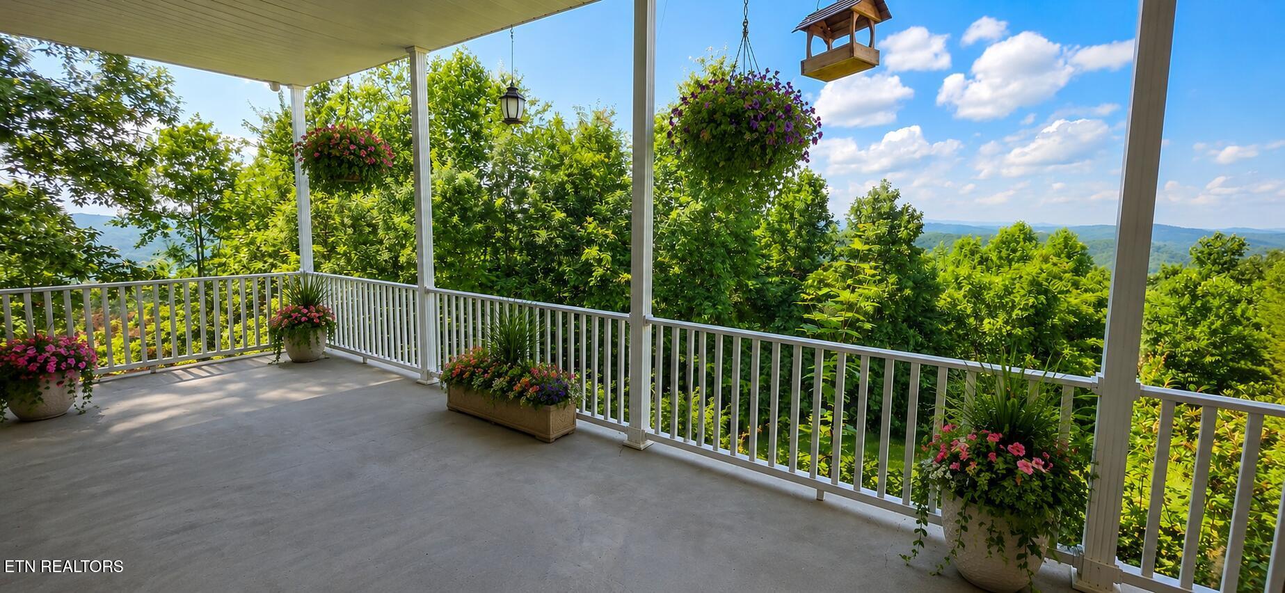 Norris Lake Real Estate - Image# 50