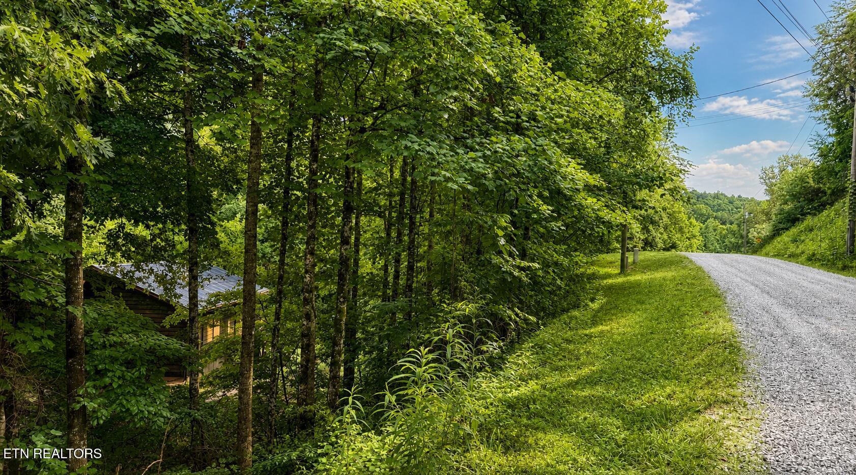 204 Black Fox Harbor Rd, Washburn, TN - Norris Lake Real Estate - Image# 27
