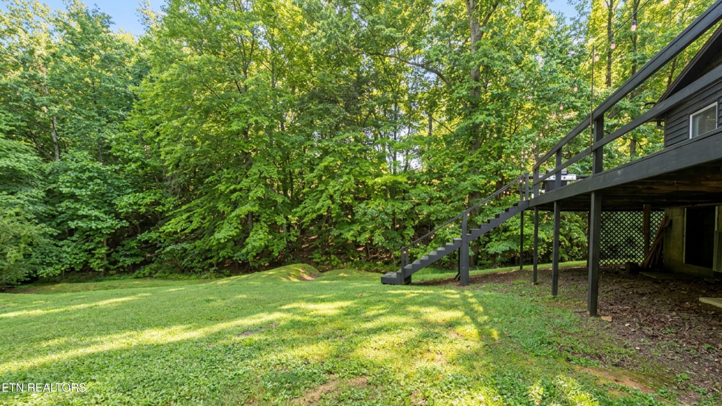 204 Black Fox Harbor Rd, Washburn, TN - Norris Lake Real Estate - Image# 25