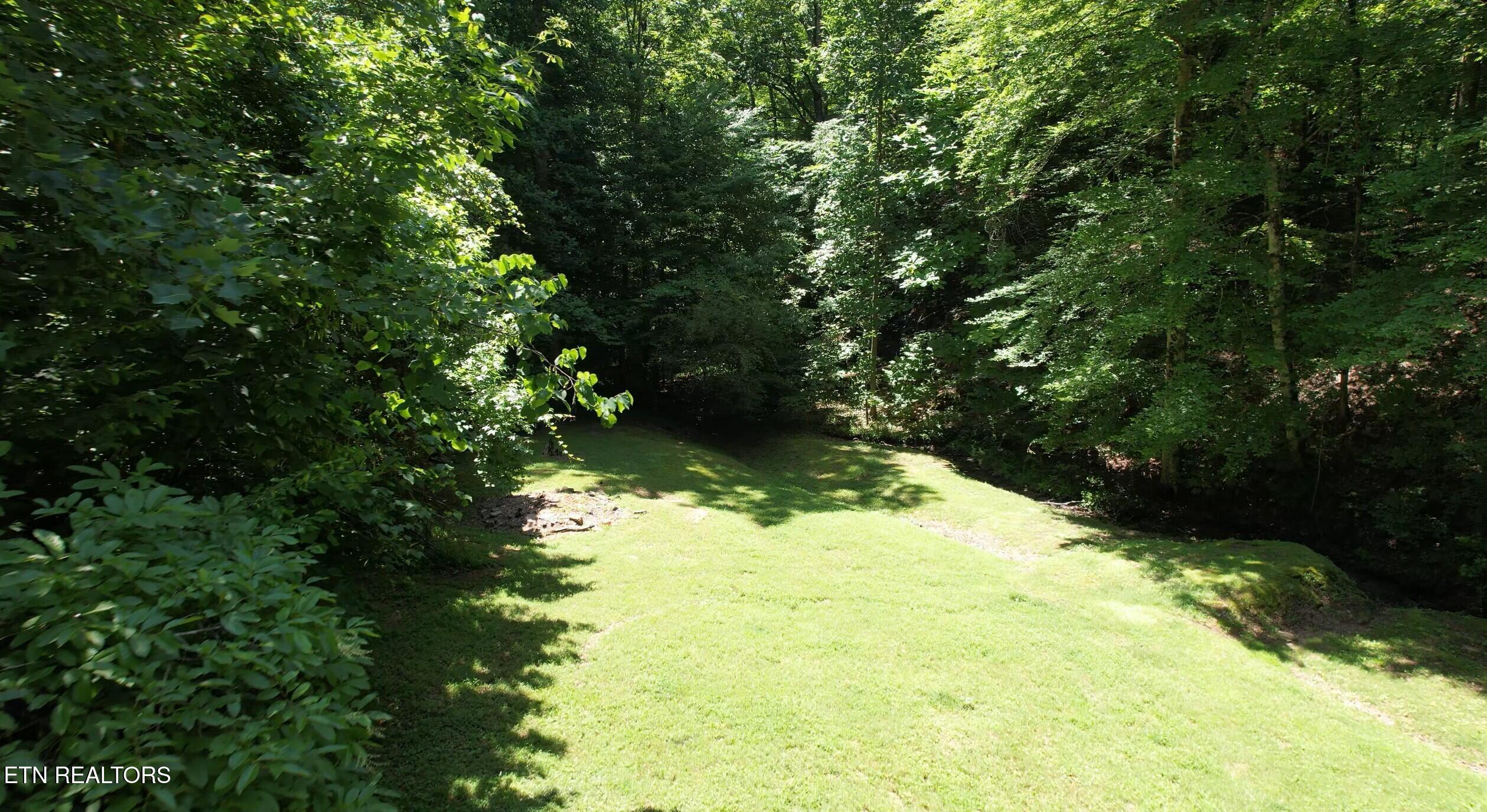 204 Black Fox Harbor Rd, Washburn, TN - Norris Lake Real Estate - Image# 41