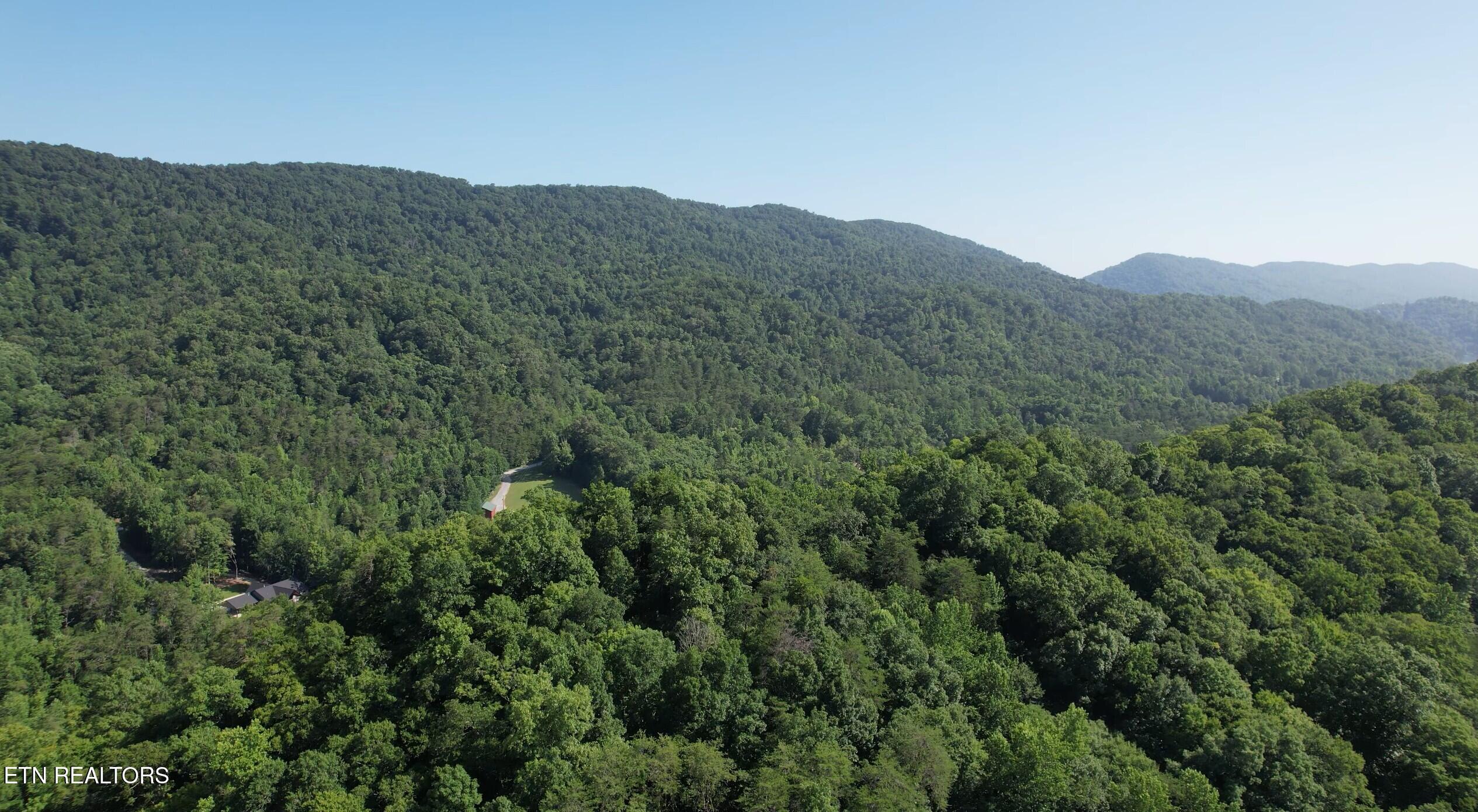 204 Black Fox Harbor Rd, Washburn, TN - Norris Lake Real Estate - Image# 43