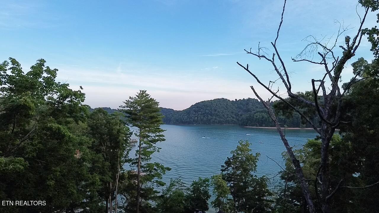 Cove Pointe Rd, Lafollette, TN - Norris Lake Real Estate - Image# 2