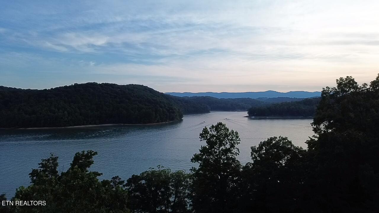 Cove Pointe Rd, Lafollette, TN - Norris Lake Real Estate - Image# 3