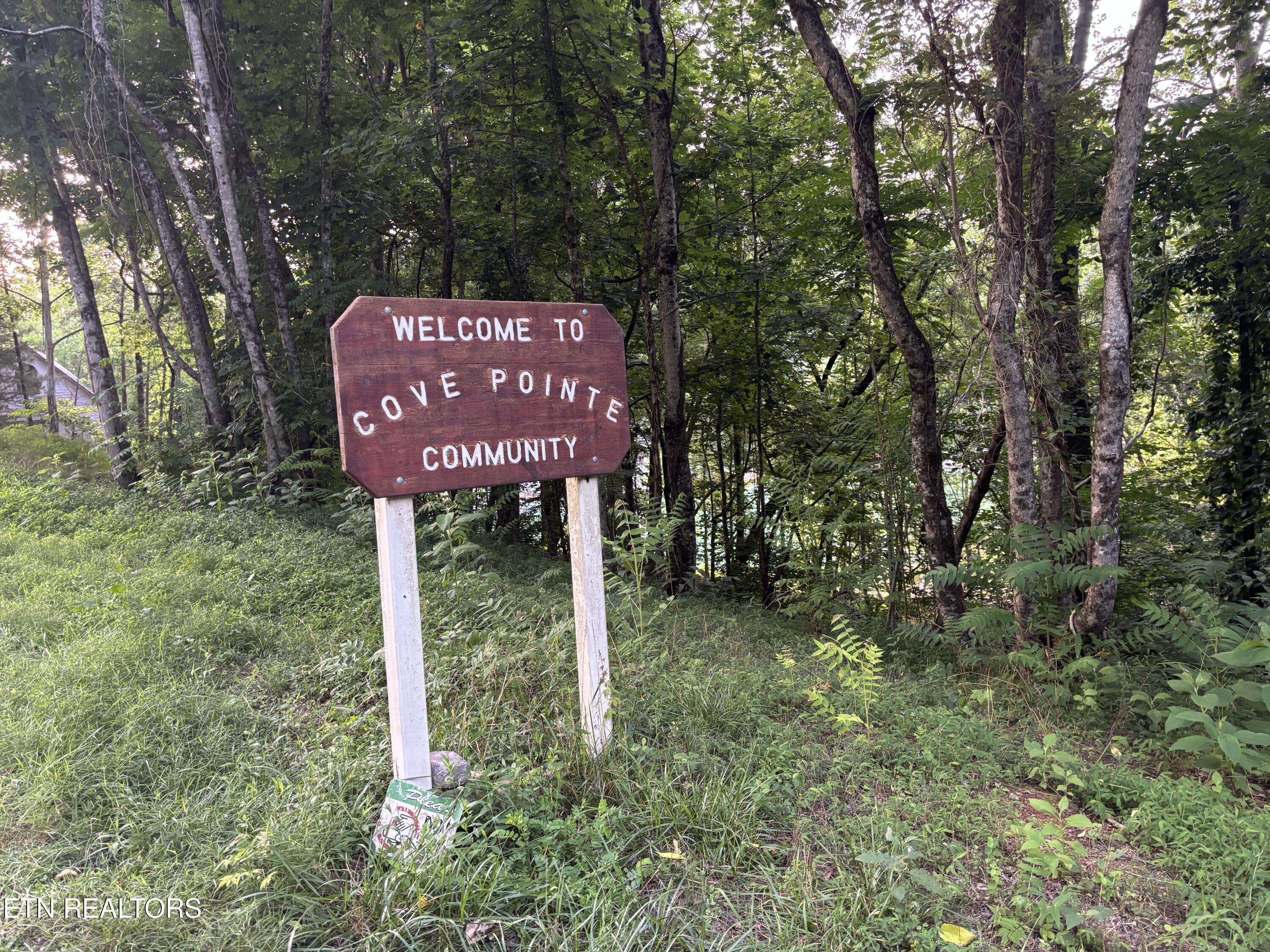 Cove Pointe Rd, Lafollette, TN - Norris Lake Real Estate - Image# 4