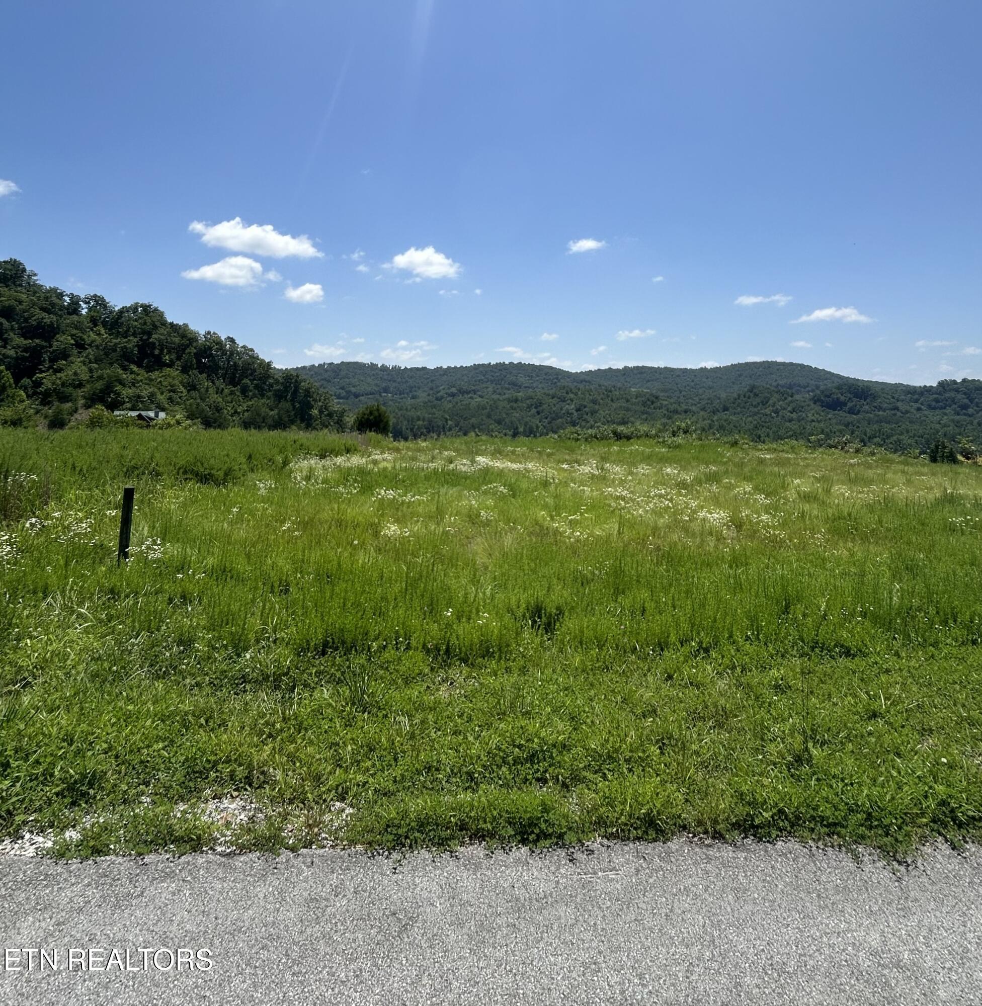 Norris Lake Real Estate - Image# 4