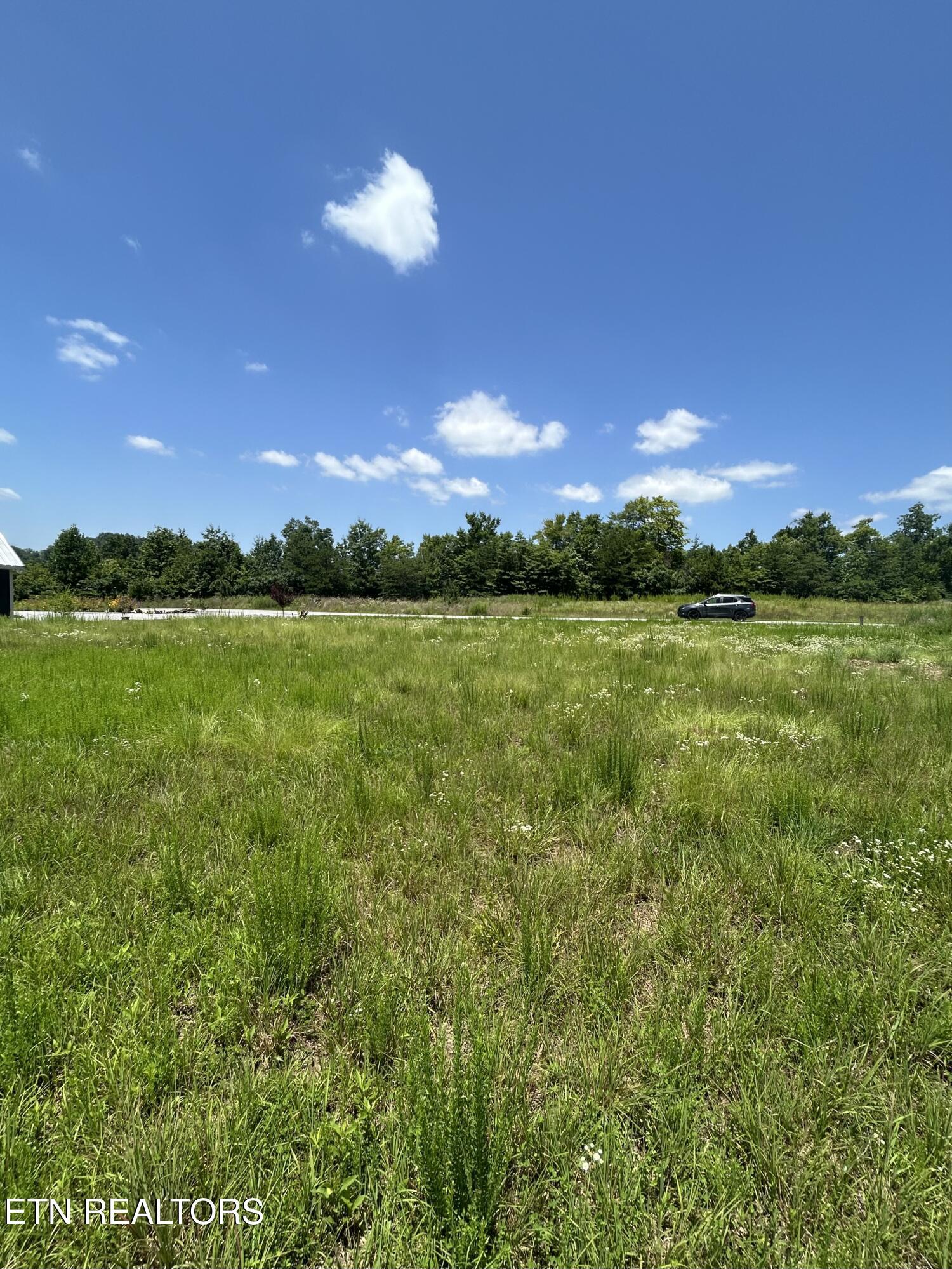 Norris Lake Real Estate - Image# 6