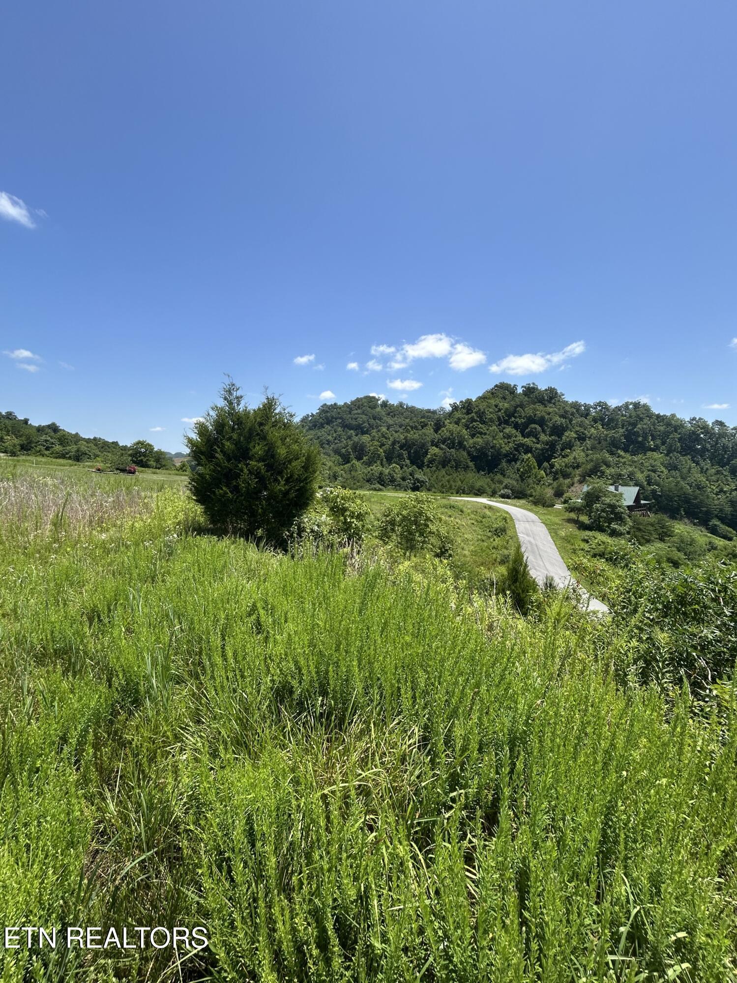 Norris Lake Real Estate - Image# 11