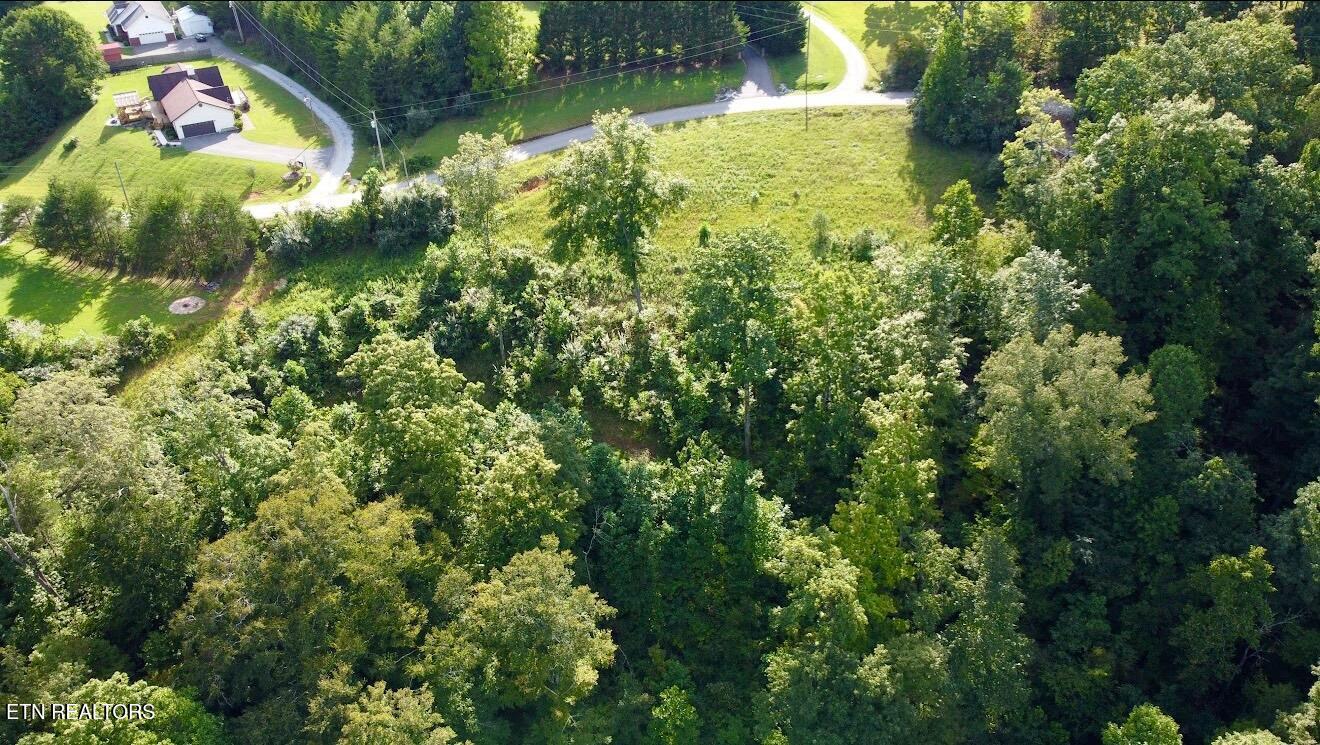 TBD Mariner Point Rd Rd, Lafollette, TN - Norris Lake Real Estate - Image# 4
