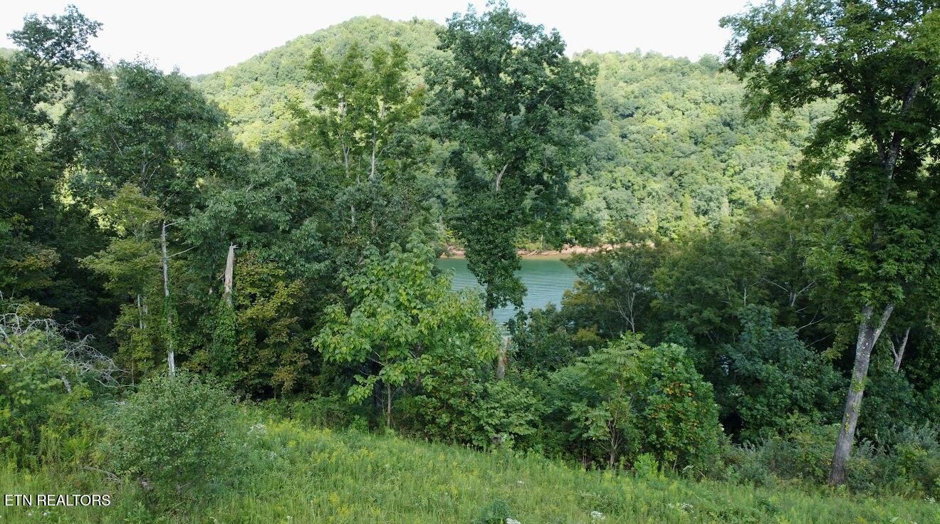 TBD Mariner Point Rd Rd, Lafollette, TN - Norris Lake Real Estate - Image# 10