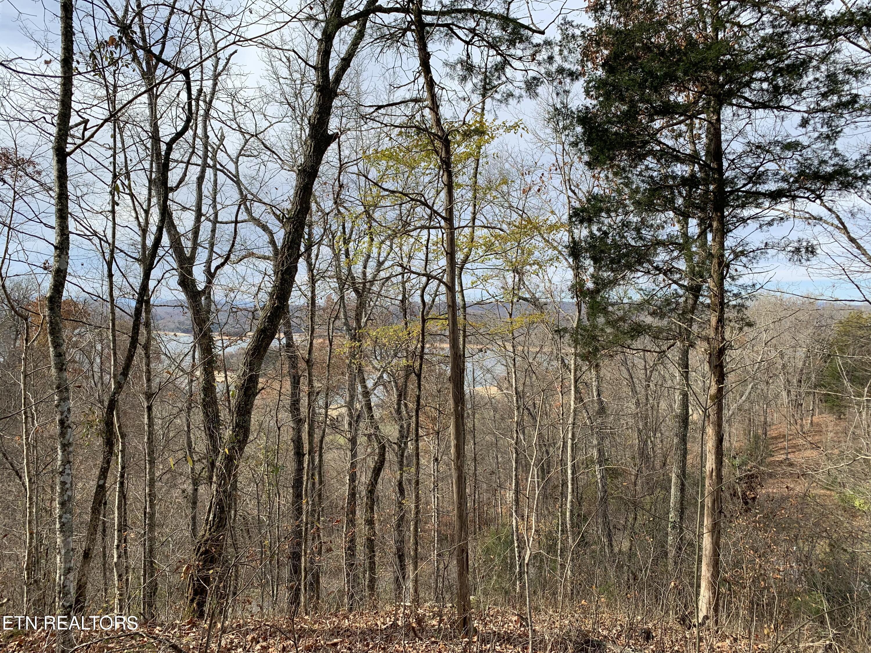 Russell Brothers Rd, Sharps Chapel, TN - Norris Lake Real Estate - Image# 7