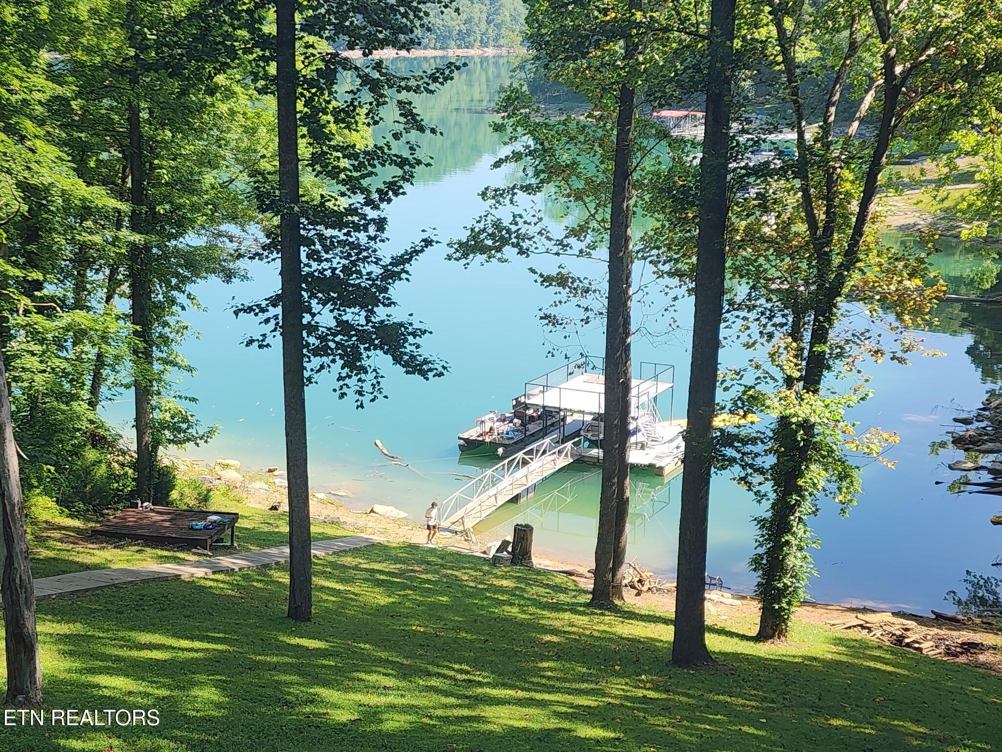 353 Beech Grove Loop, Sharps Chapel, TN - Norris Lake Real Estate - Image# 10