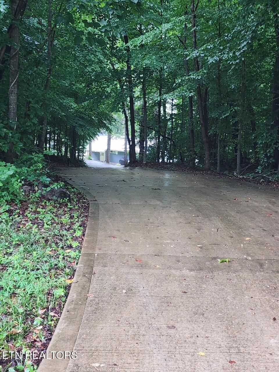 353 Beech Grove Loop, Sharps Chapel, TN - Norris Lake Real Estate - Image# 9