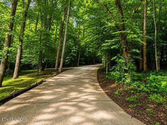 353 Beech Grove Loop, Sharps Chapel, TN - Norris Lake Real Estate - Image# 12