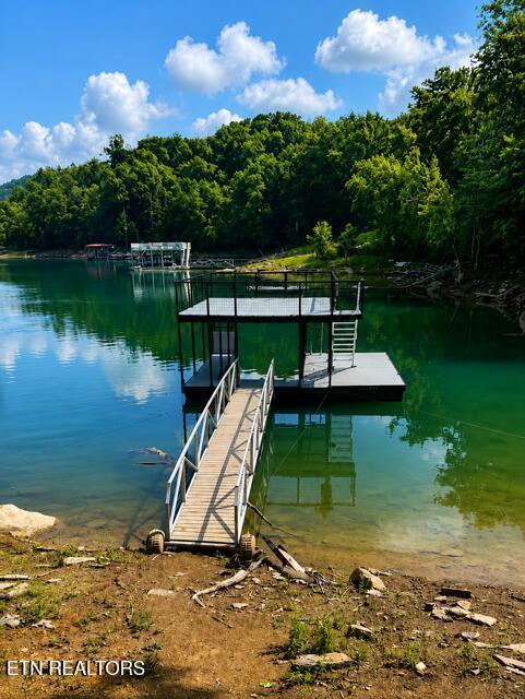 353 Beech Grove Loop, Sharps Chapel, TN - Norris Lake Real Estate - Image# 18