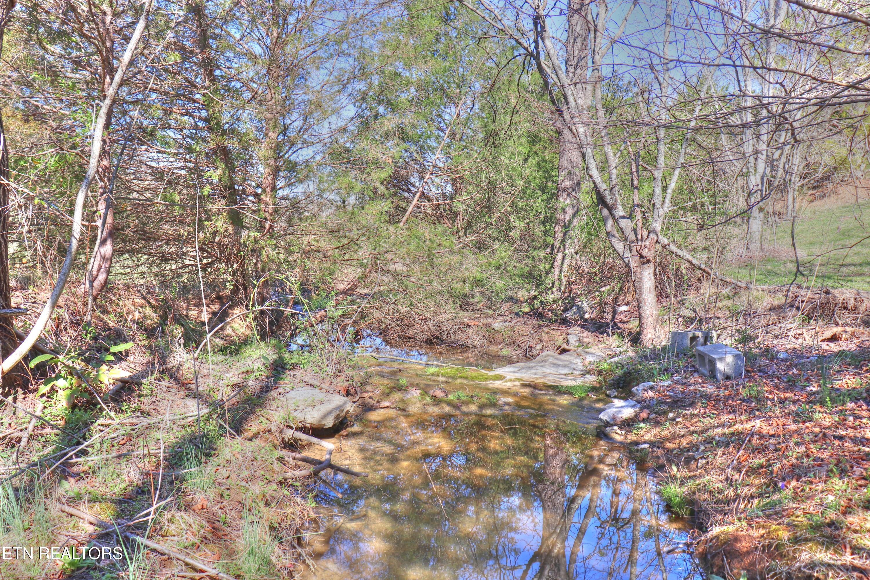 Lot 197 Captains Cove, Sharps Chapel, TN - Norris Lake Real Estate - Image# 6