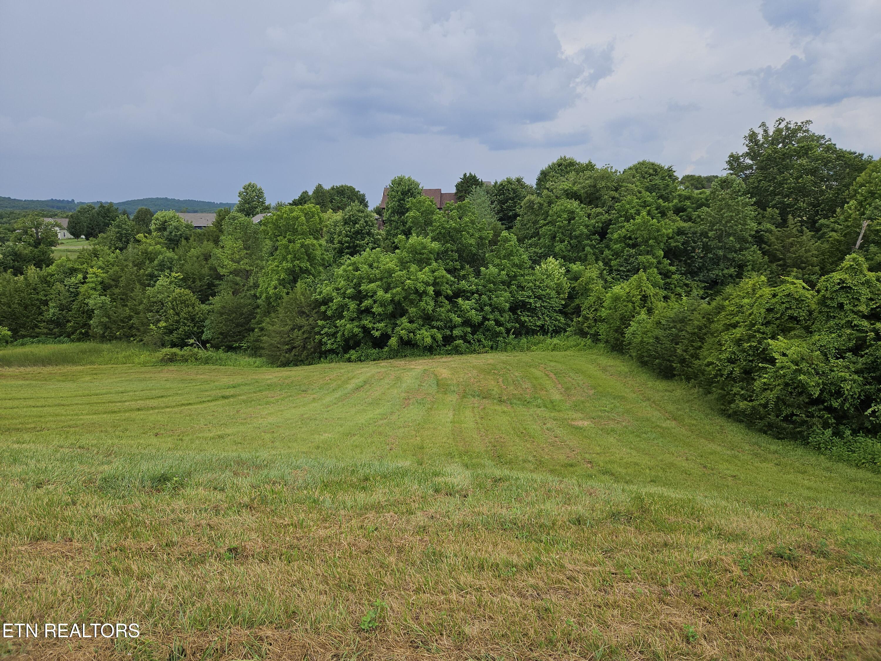 Lot 197 Captains Cove, Sharps Chapel, TN - Norris Lake Real Estate - Image# 1