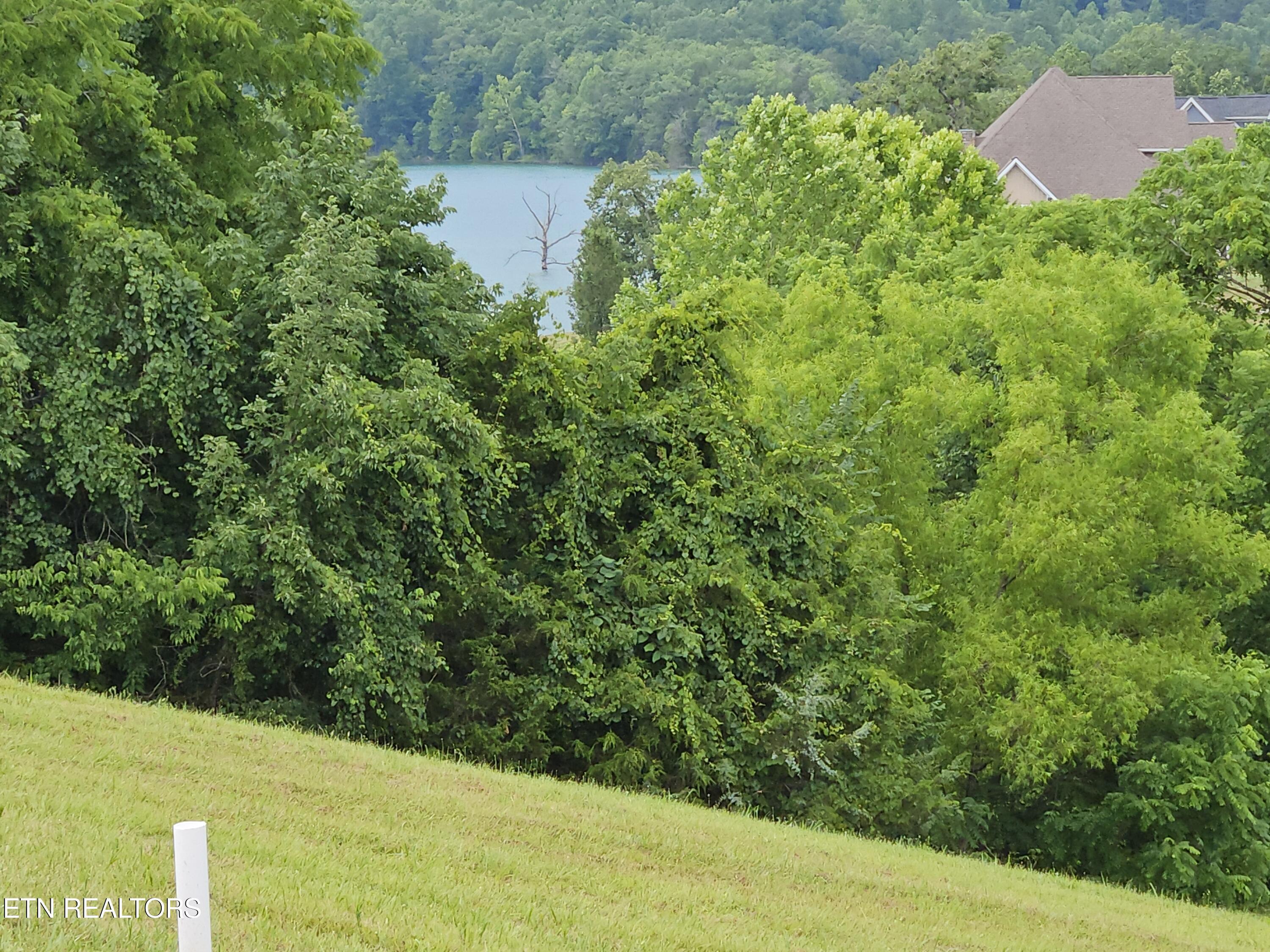 Lot 197 Captains Cove, Sharps Chapel, TN - Norris Lake Real Estate - Image# 5