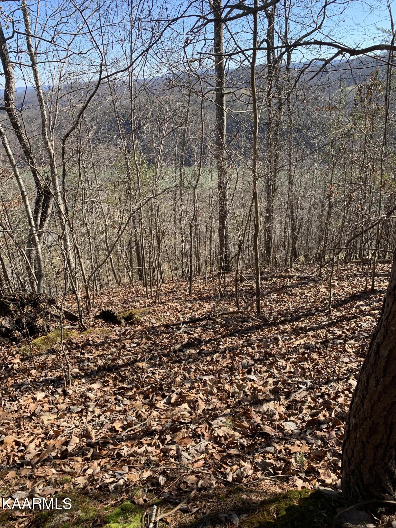Norris Lake Real Estate - Image# 2