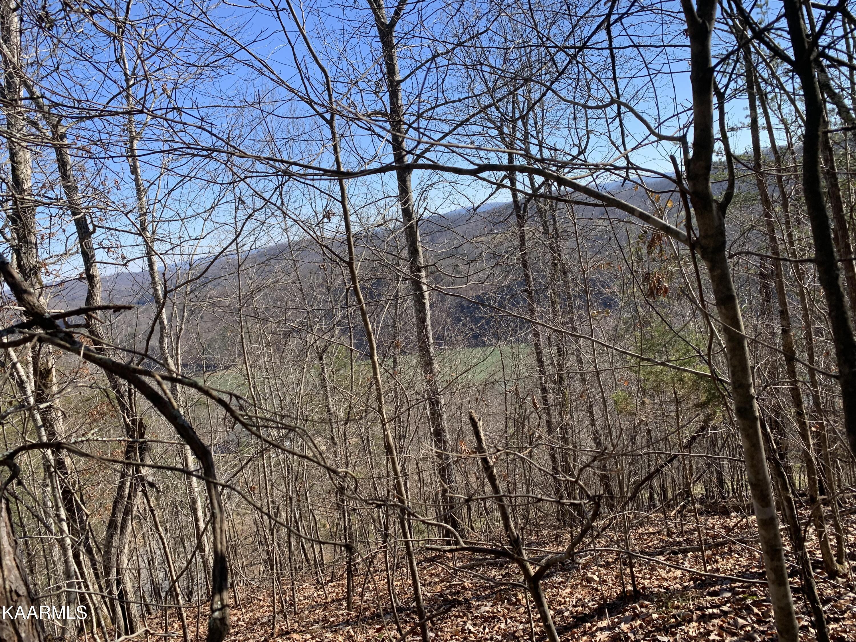 Norris Lake Real Estate - Image# 7