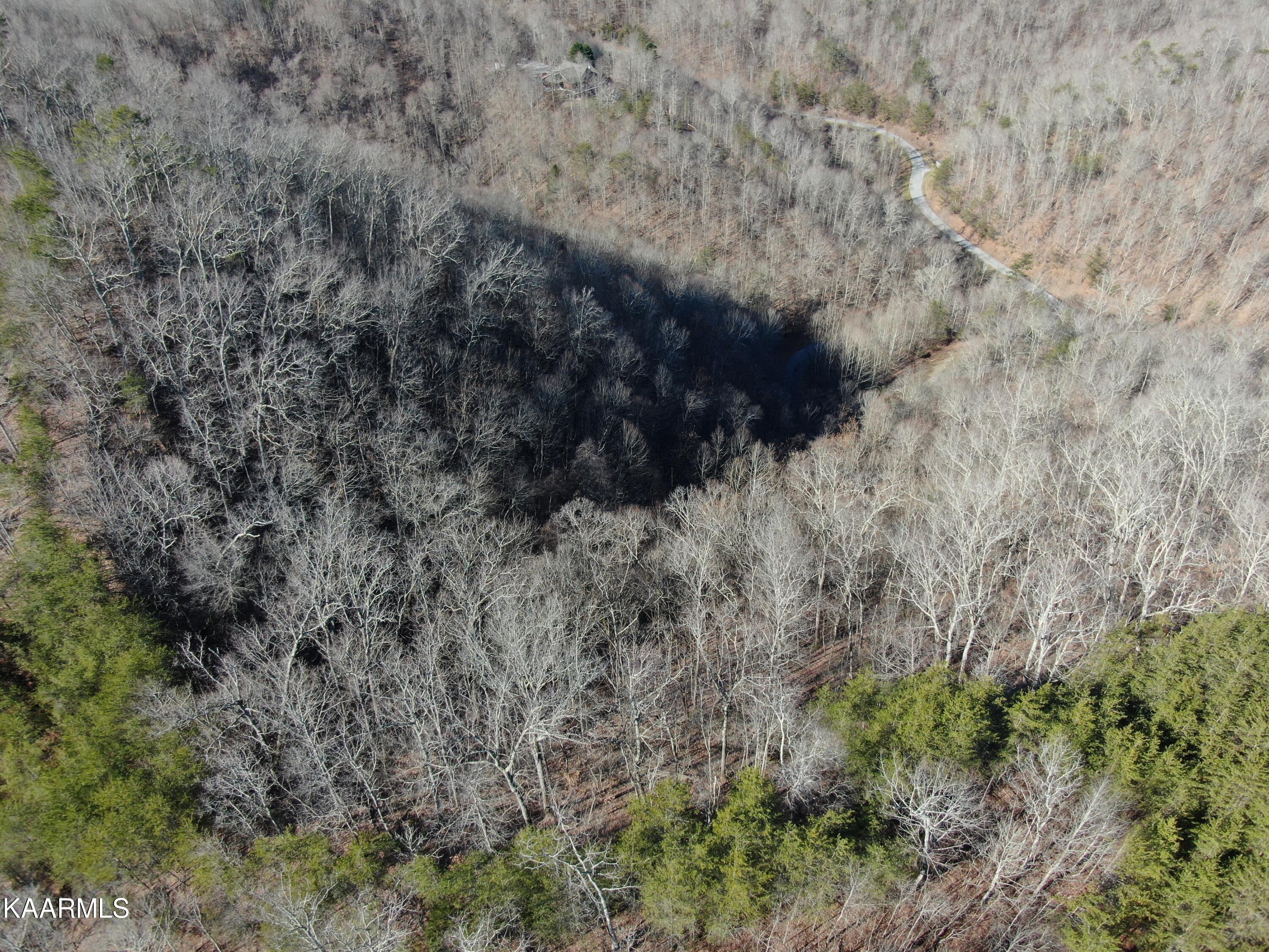 Norris Lake Real Estate - Image# 15