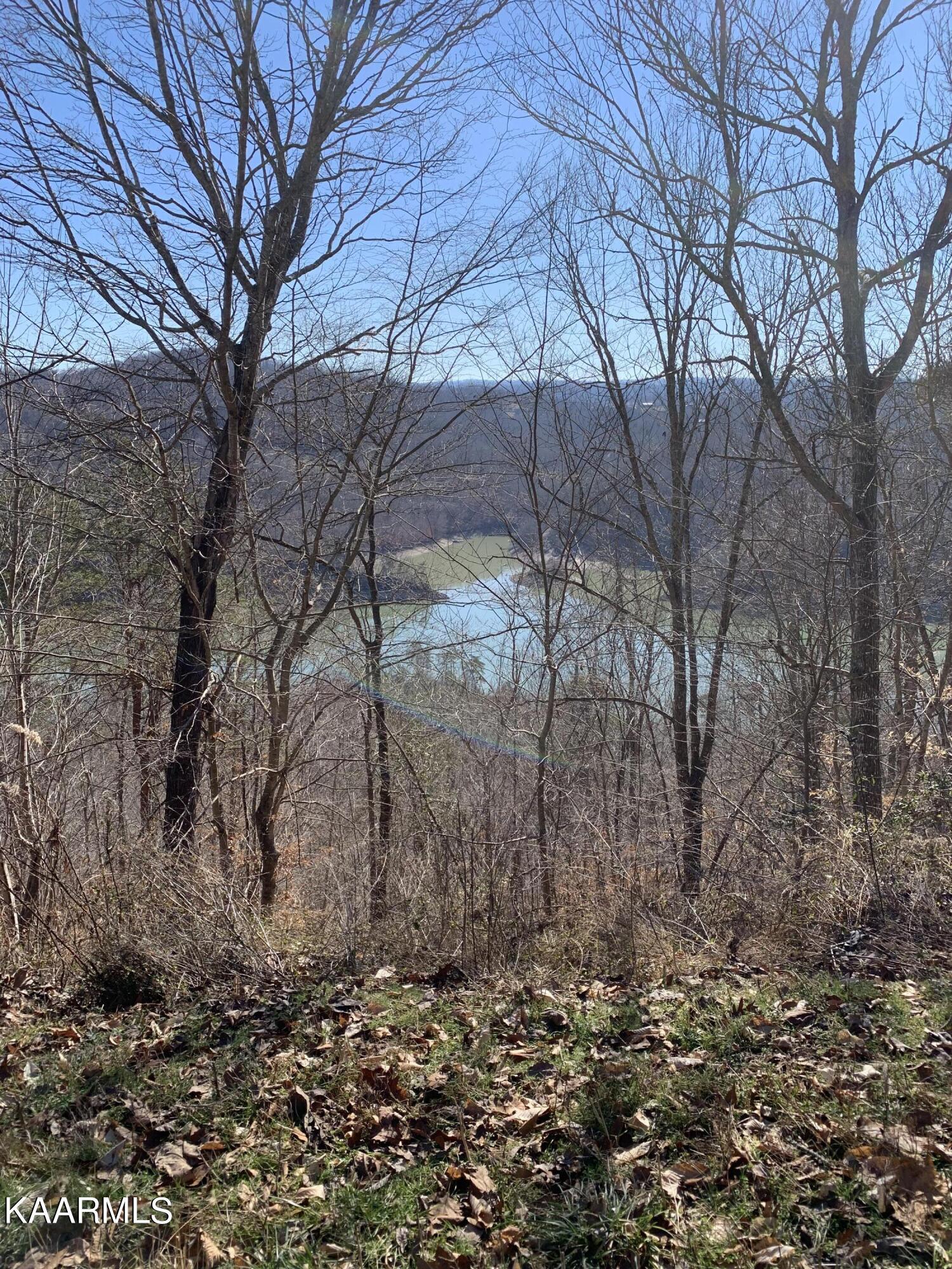 Norris Lake Real Estate - Image# 13