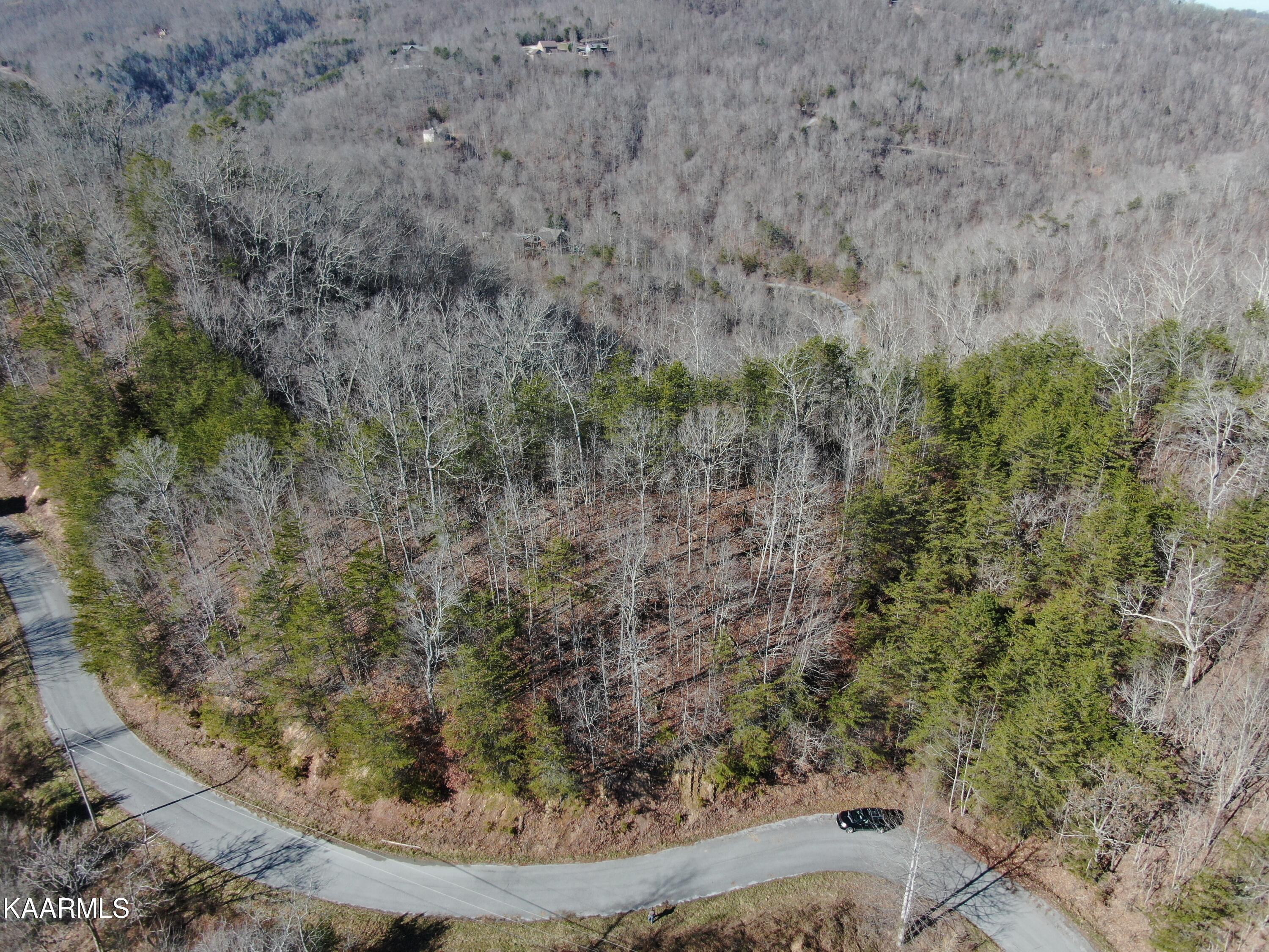 Norris Lake Real Estate - Image# 16
