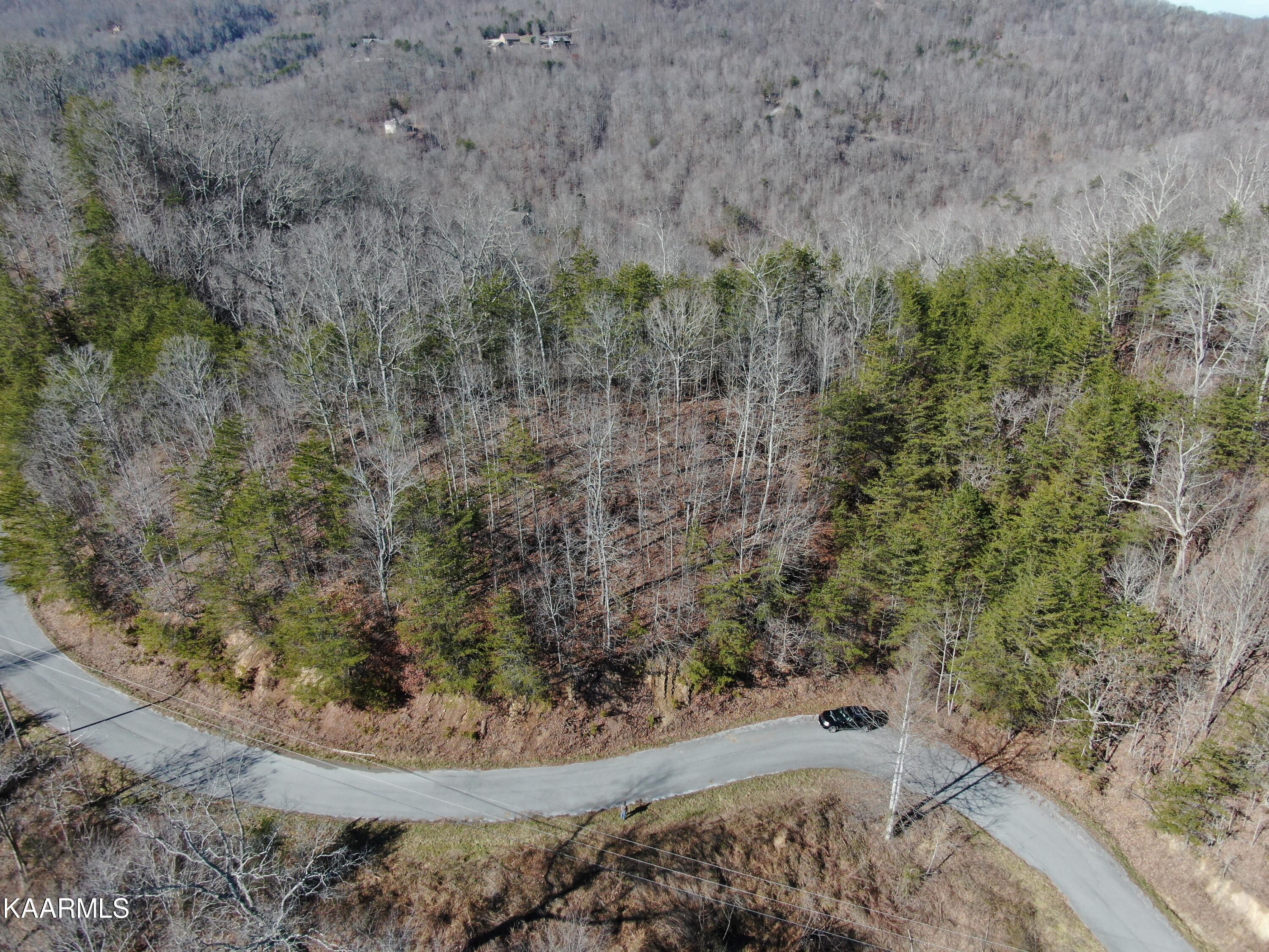 Norris Lake Real Estate - Image# 17