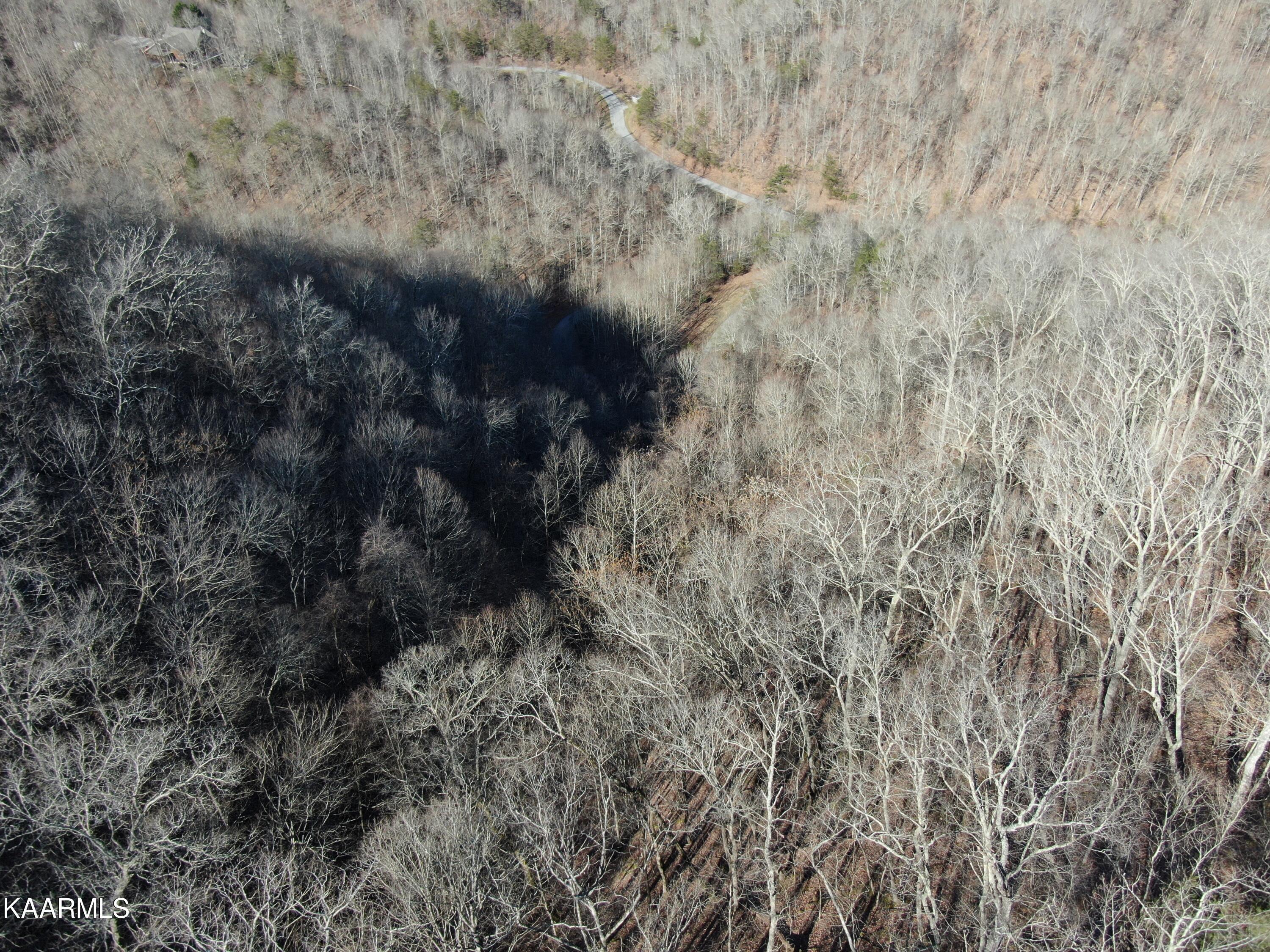 Norris Lake Real Estate - Image# 19