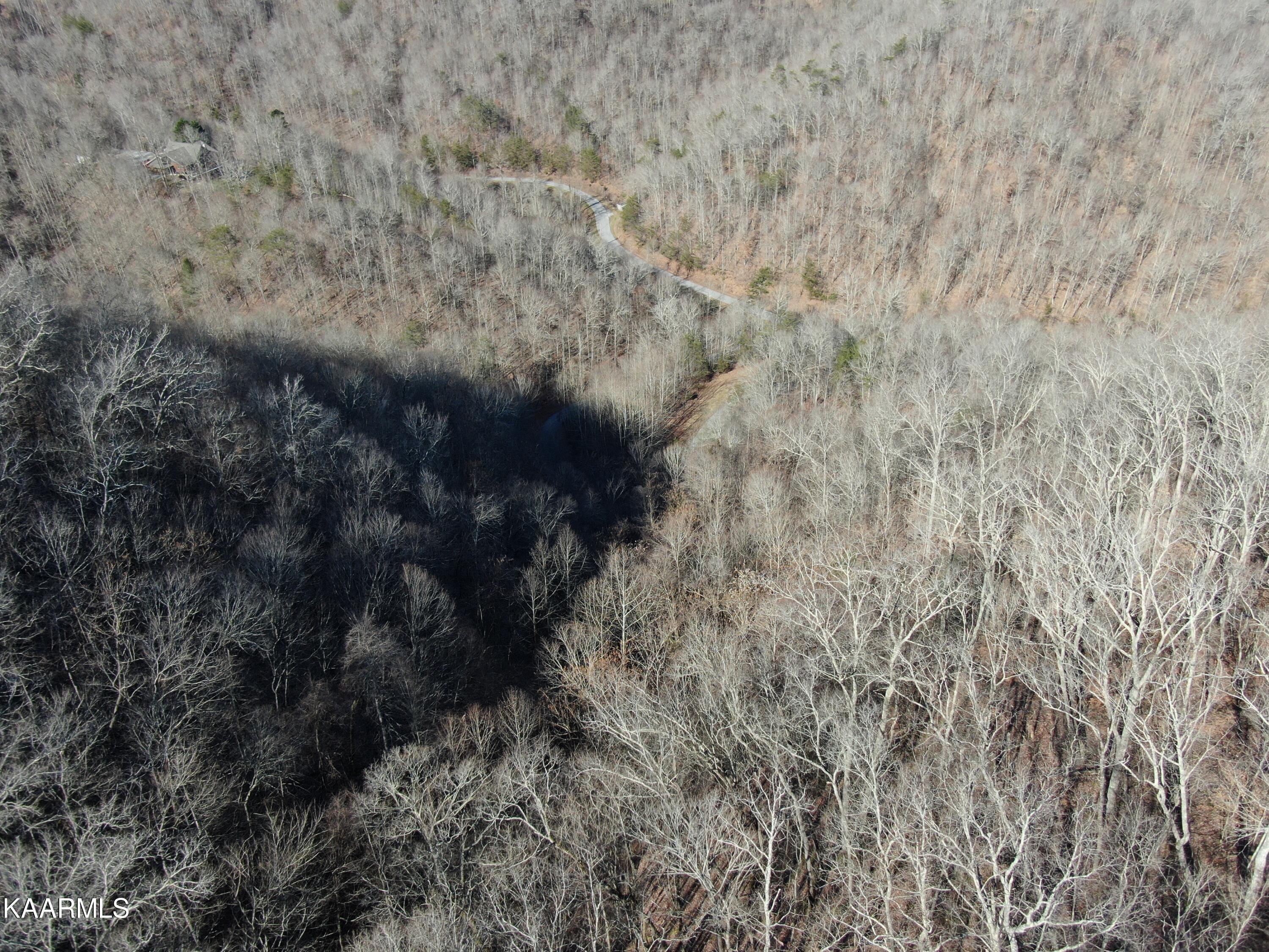 Norris Lake Real Estate - Image# 21