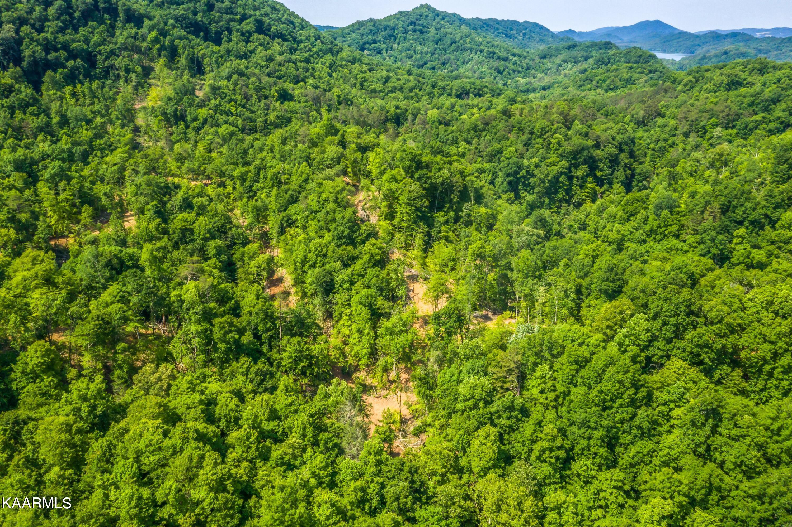 114 Acres State Hwy 33, Tazewell, TN - Norris Lake Real Estate - Image# 4