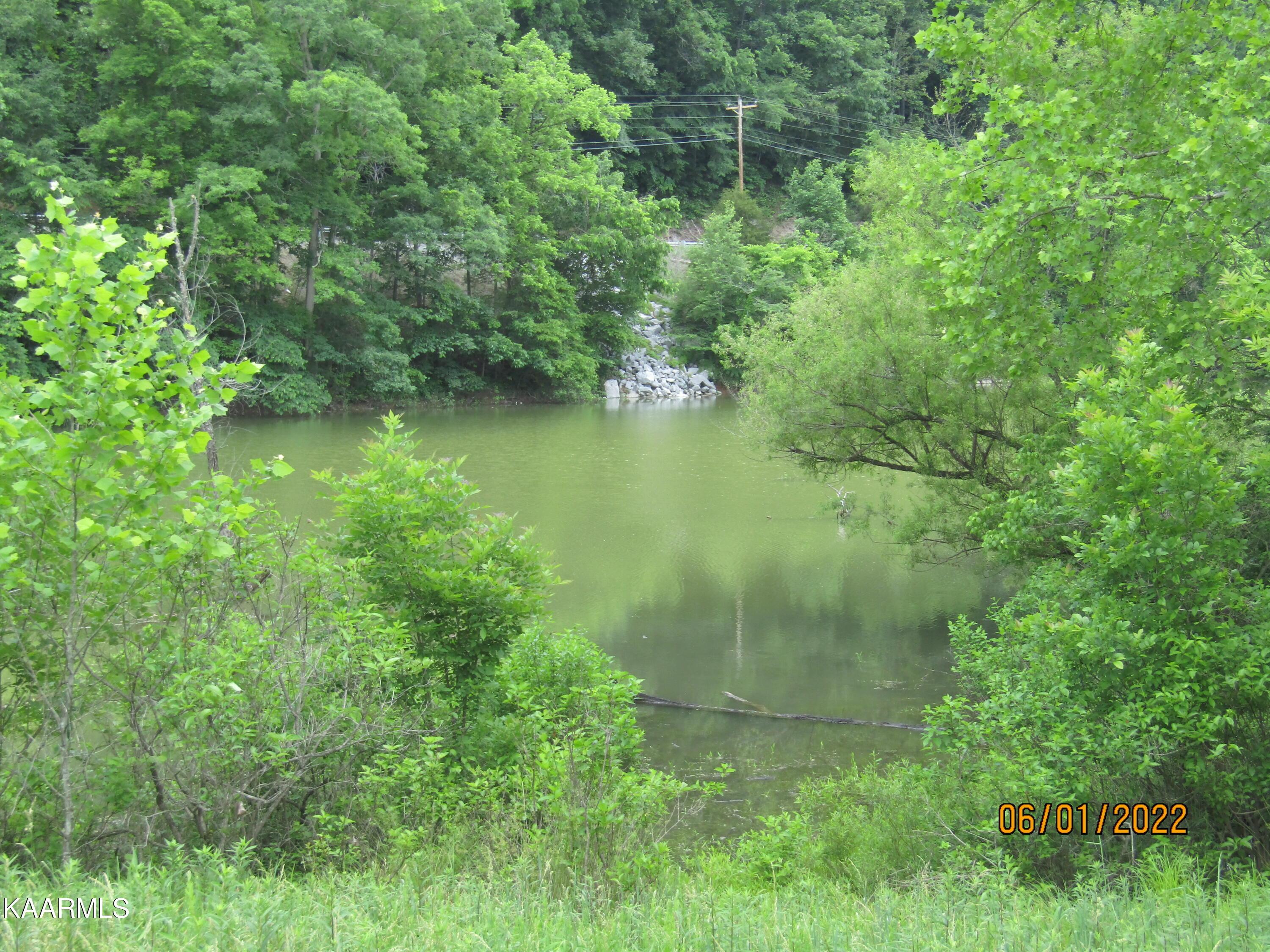 57 Acres Off Hwy 33 Track 1, Tazewell, TN - Norris Lake Real Estate - Image# 22