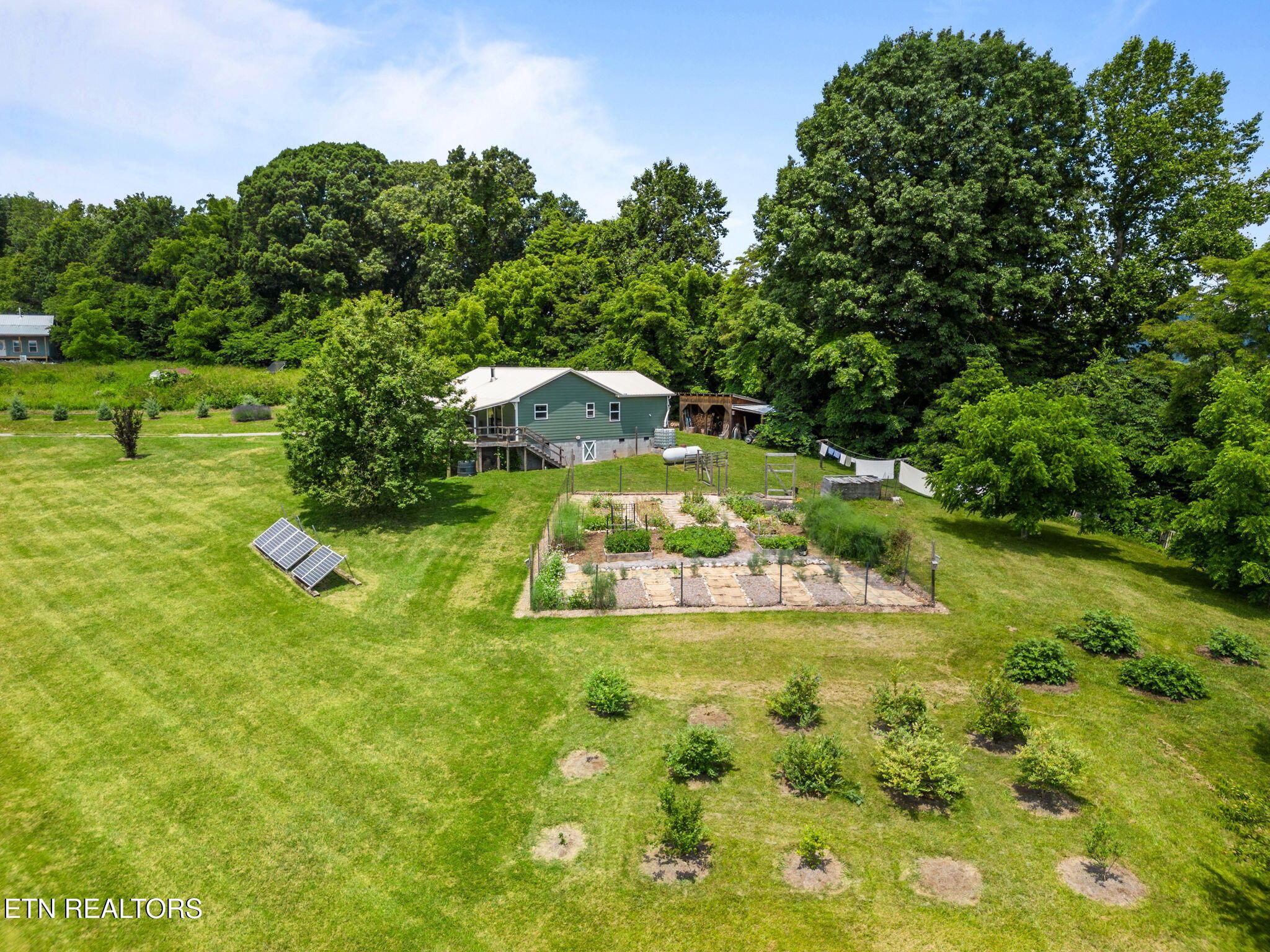 Norris Lake Real Estate - Image# 25