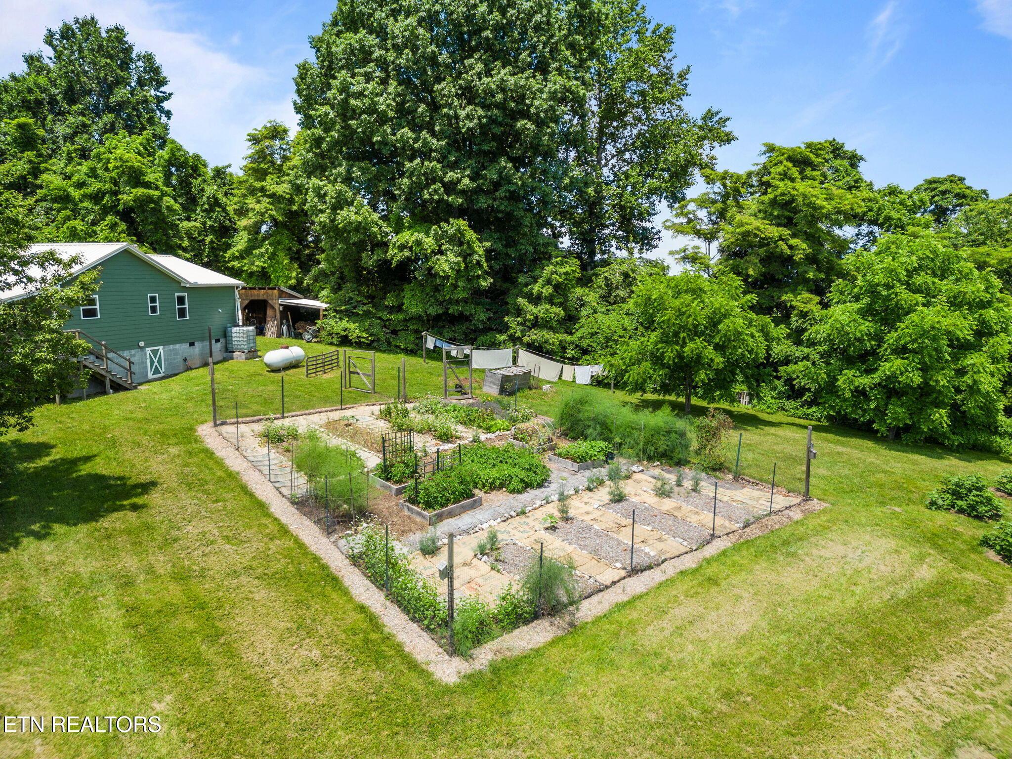Norris Lake Real Estate - Image# 24