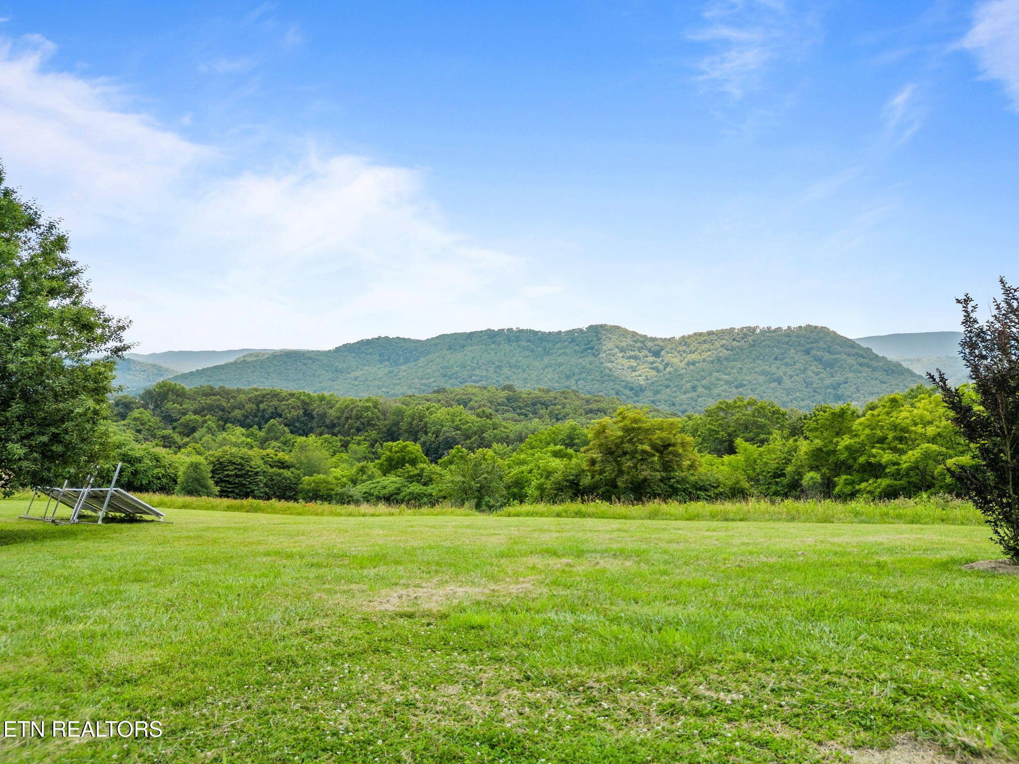 Norris Lake Real Estate - Image# 31