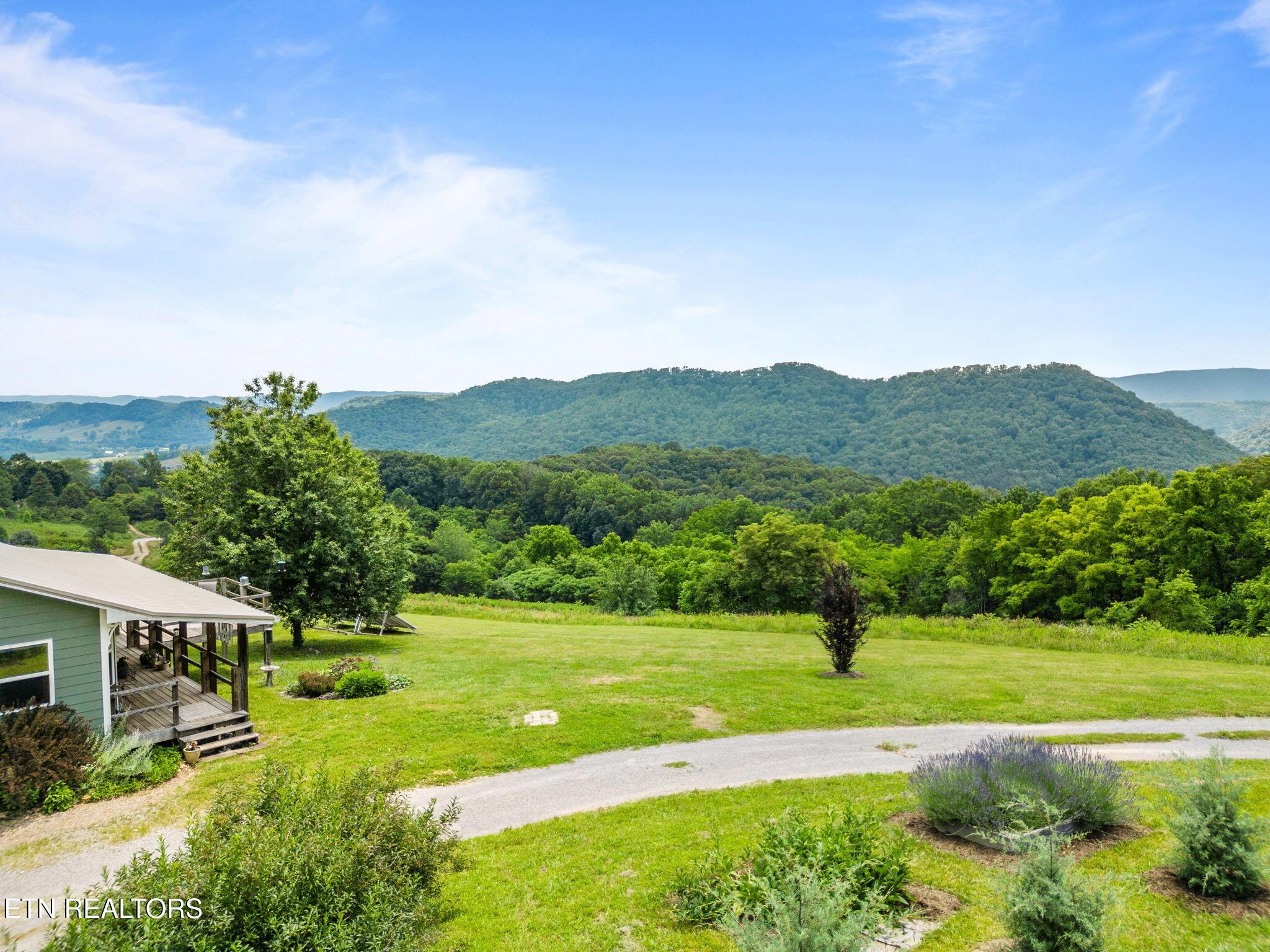 Norris Lake Real Estate - Image# 1