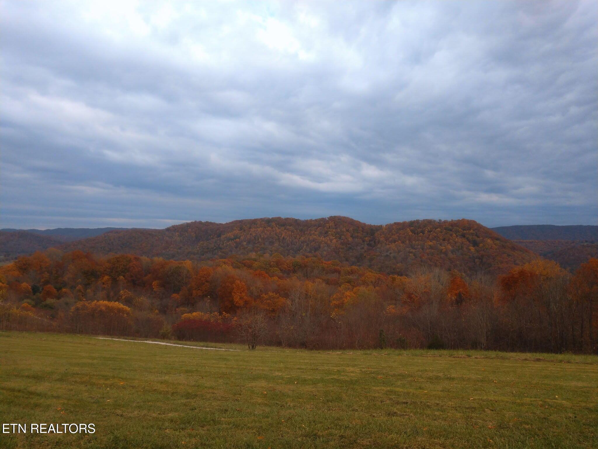Norris Lake Real Estate - Image# 40