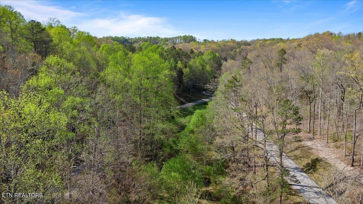 Norris Lake Real Estate - Image# 10