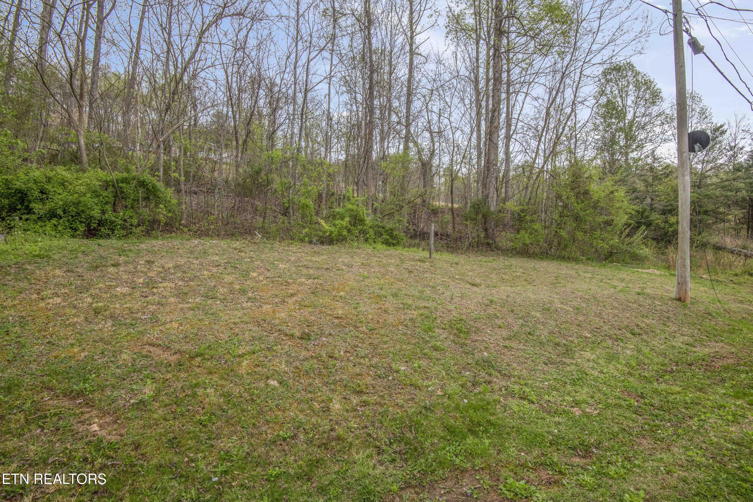 Norris Lake Real Estate - Image# 32