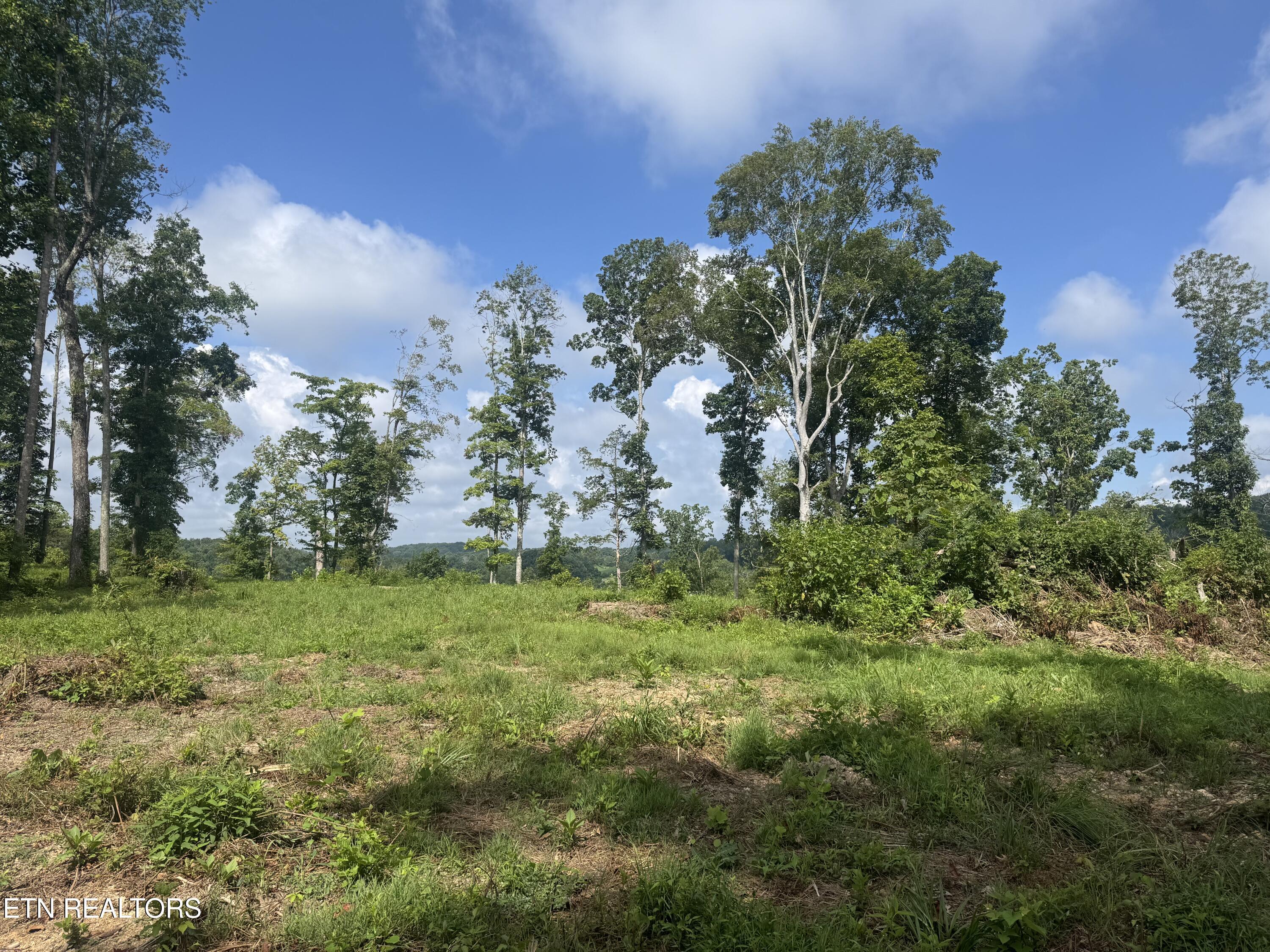 Norris Lake Real Estate - Image# 19