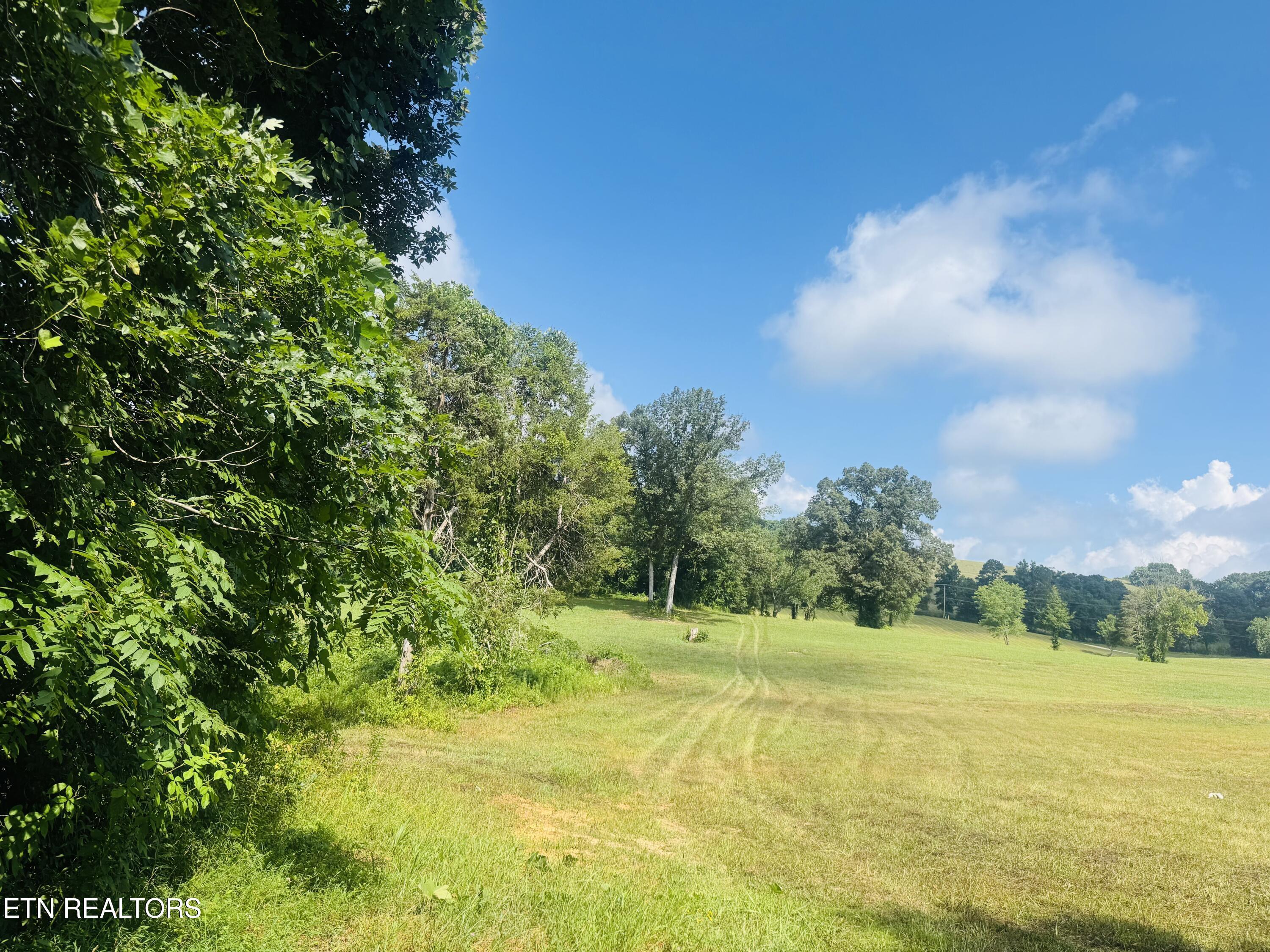 Norris Lake Real Estate - Image# 4