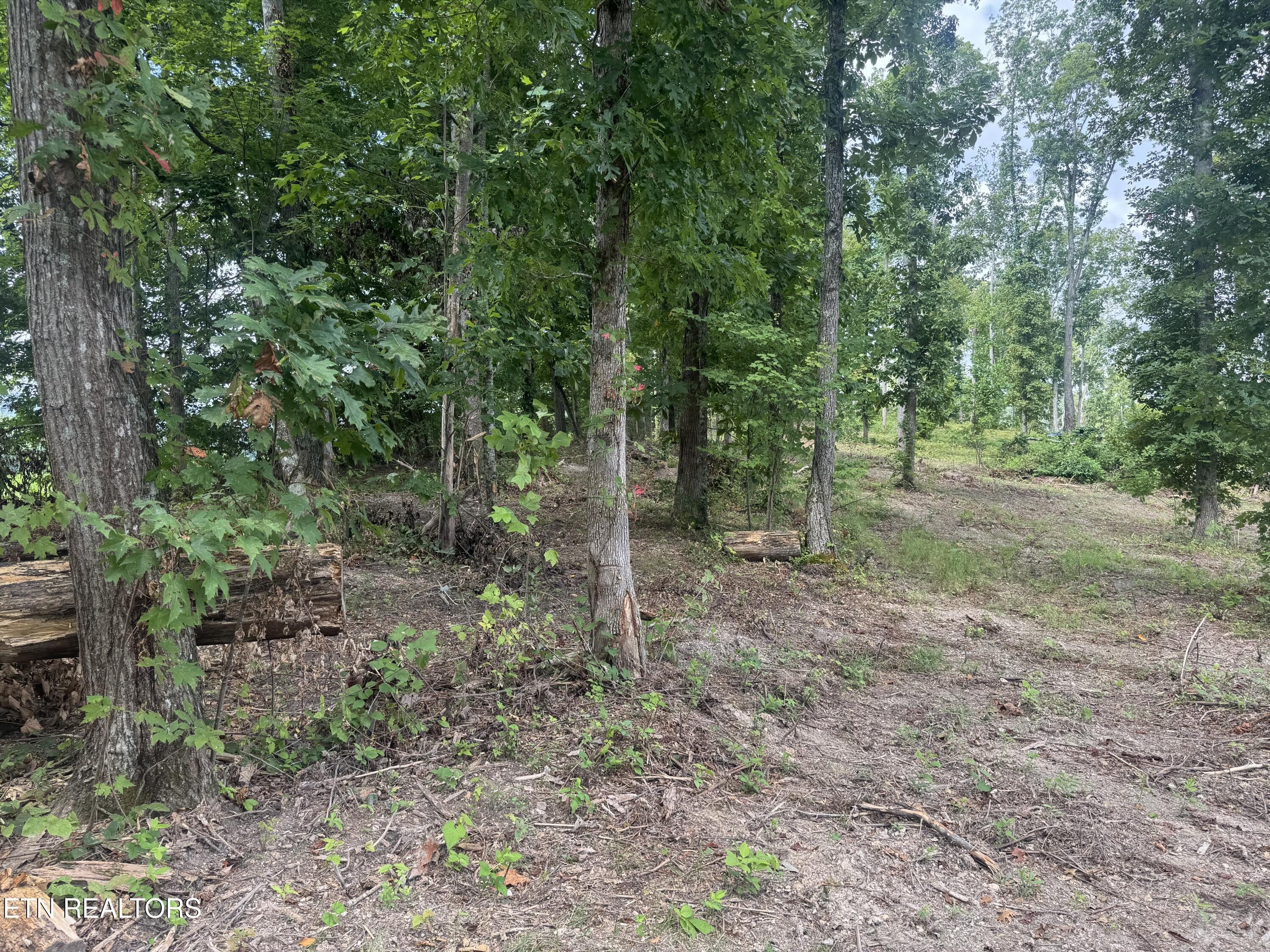 Norris Lake Real Estate - Image# 11