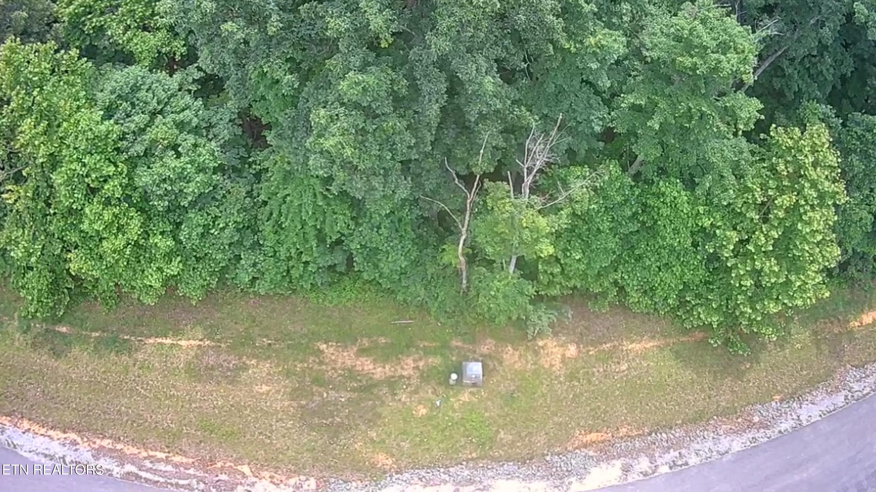 Norris Lake Real Estate - Image# 1